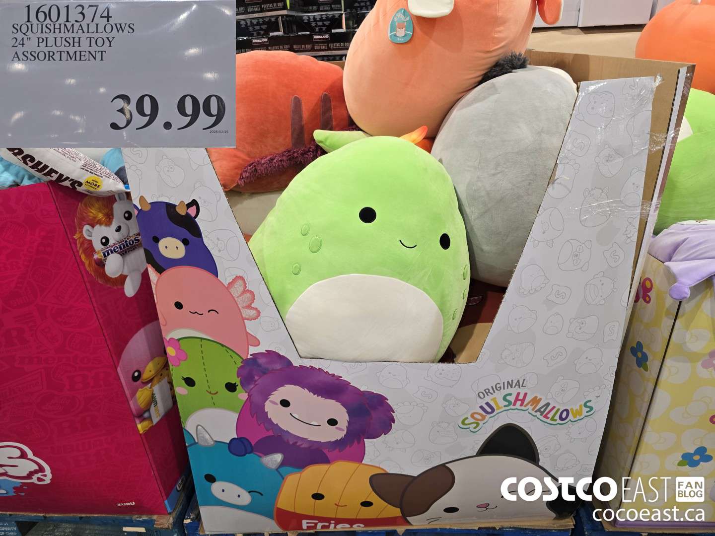 1601374 SQUISHMALLOWS 24