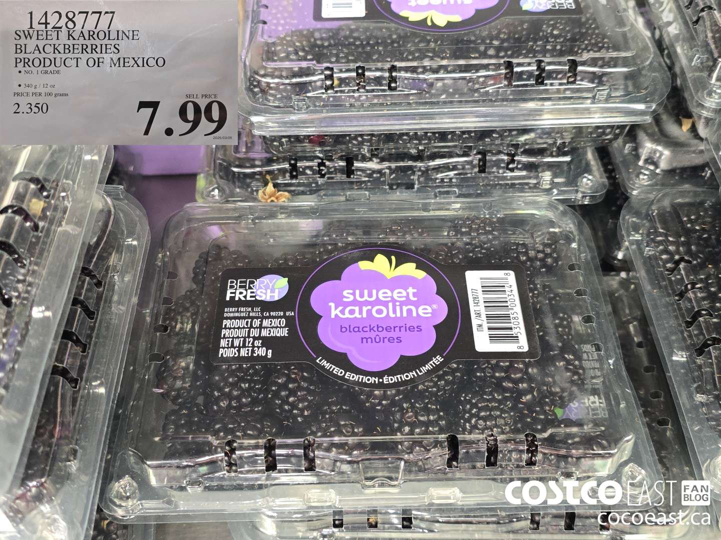 1428777 SWEET KAROLINE BLACKBERRIES PRODUCT OF MEXICO $7.99