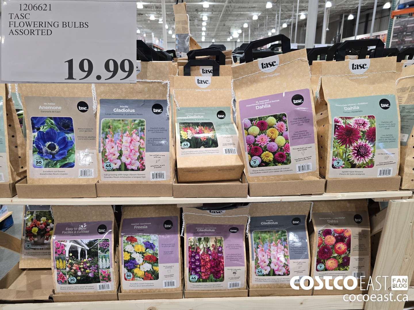 1206621 TASC FLOWERING BULBS ASSORTED $19.99