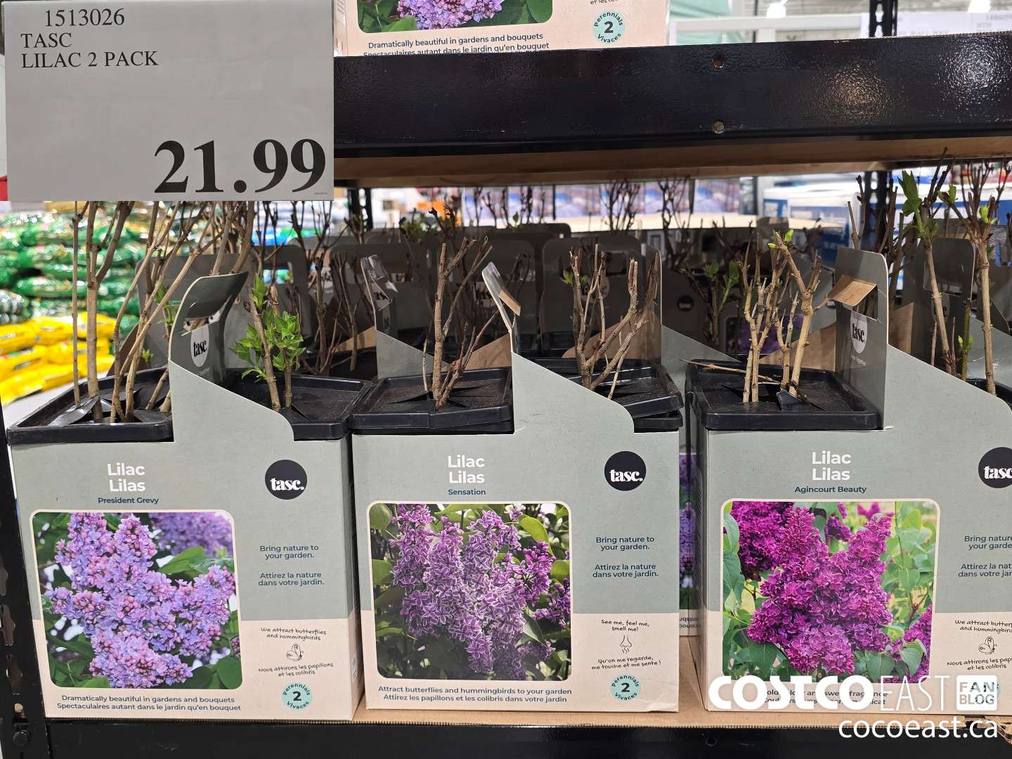 1513026 TASC LILAC 2 PACK  $21.99