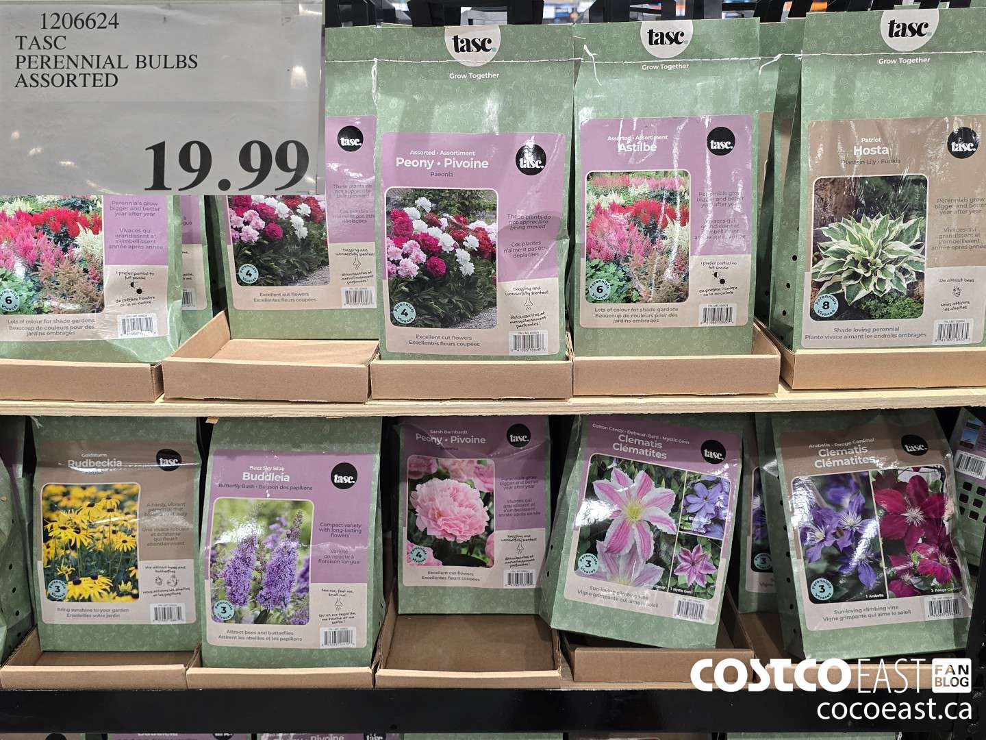 1206624 TASC PERENNIAL BULBS ASSORTED $19.99