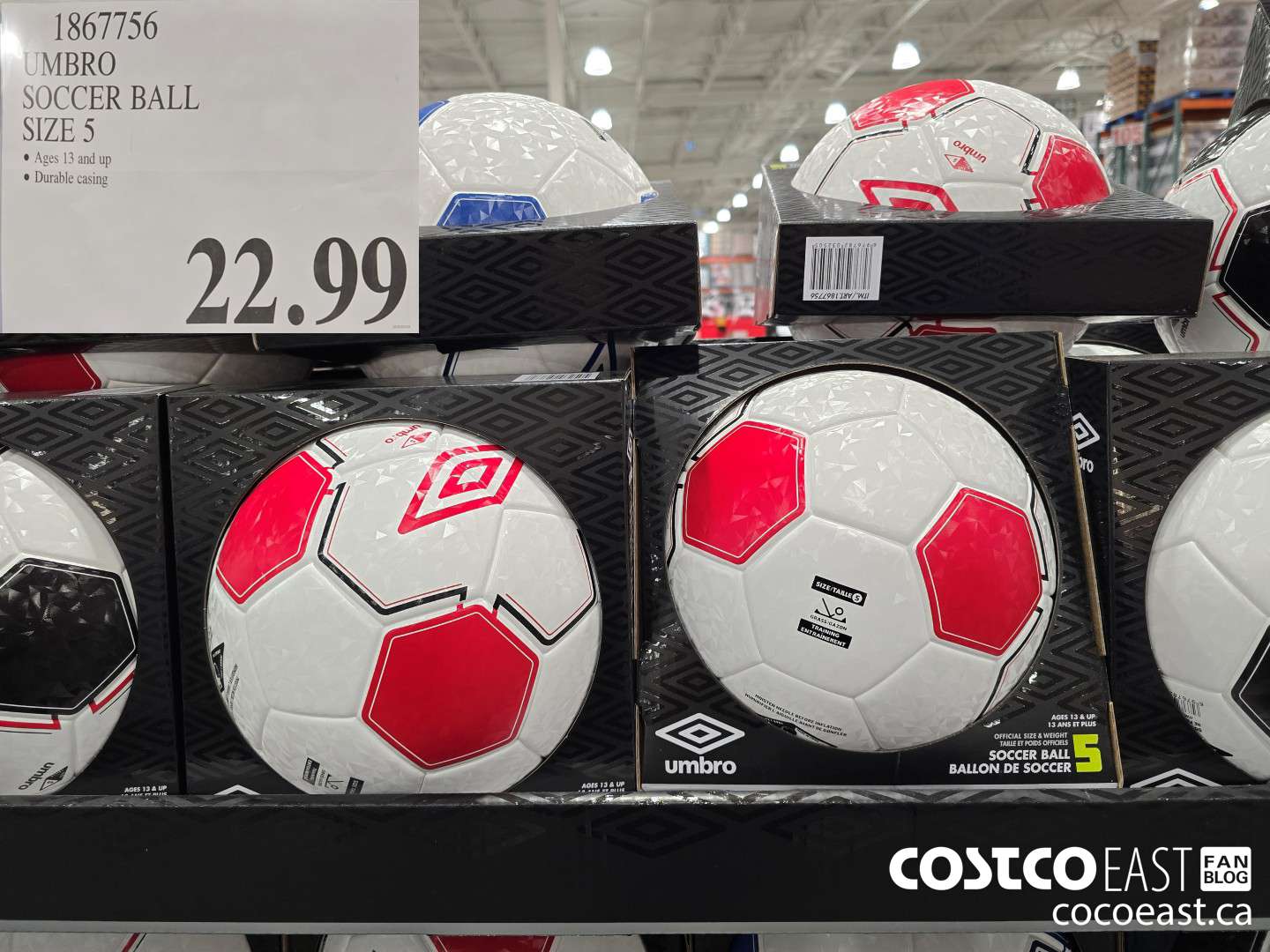 1867756 UMBRO - SOCCER BALL SIZE 5  $22.99