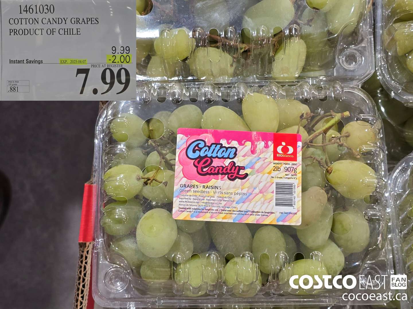 1461030 COTTON CANDY GRAPES PRODUCT OF CHILI ($2.00 INSTANT SAVINGS EXPIRES ON 2025-04-07) $7.99