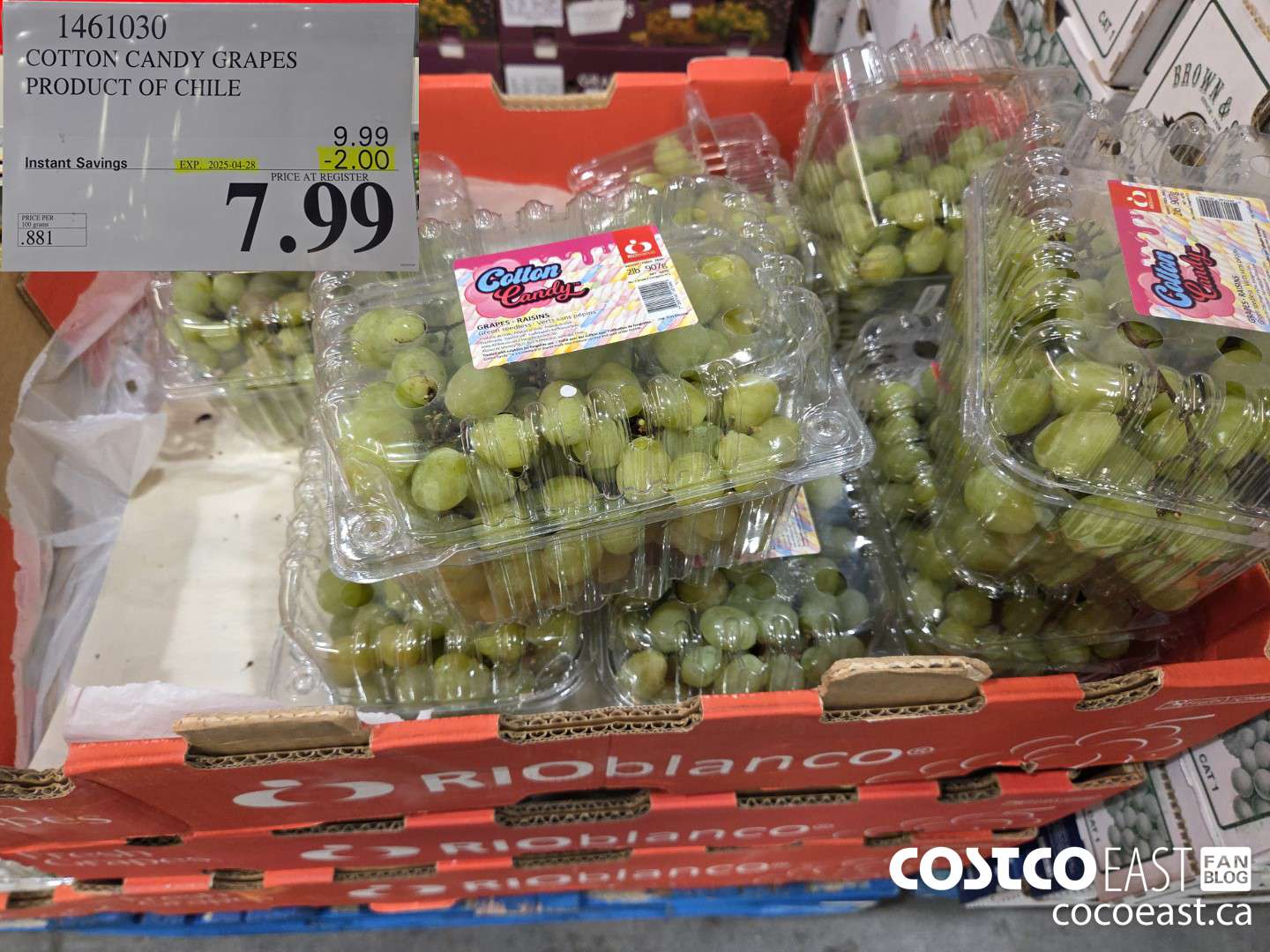 1461030 COTTON CANDY GRAPES PRODUCT OF CHILI ($2.00 INSTANT SAVINGS EXPIRES ON 2025-04-28) $7.99