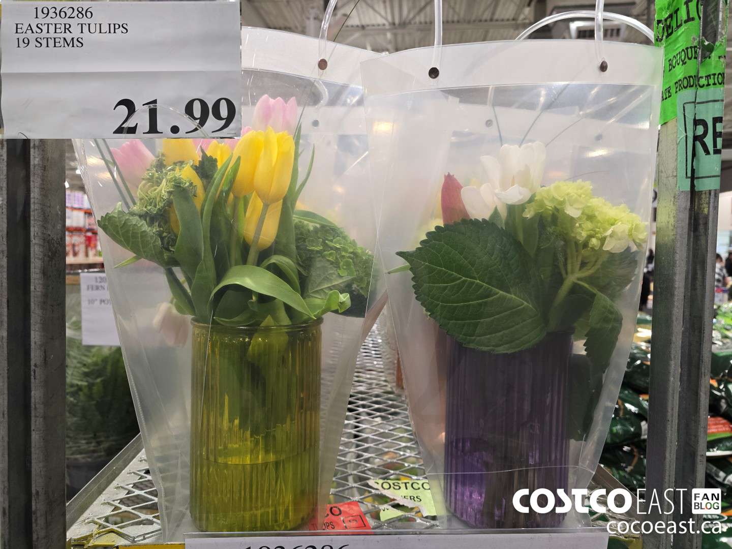 1936286 EASTER TULIP 19 STEMS $21.99