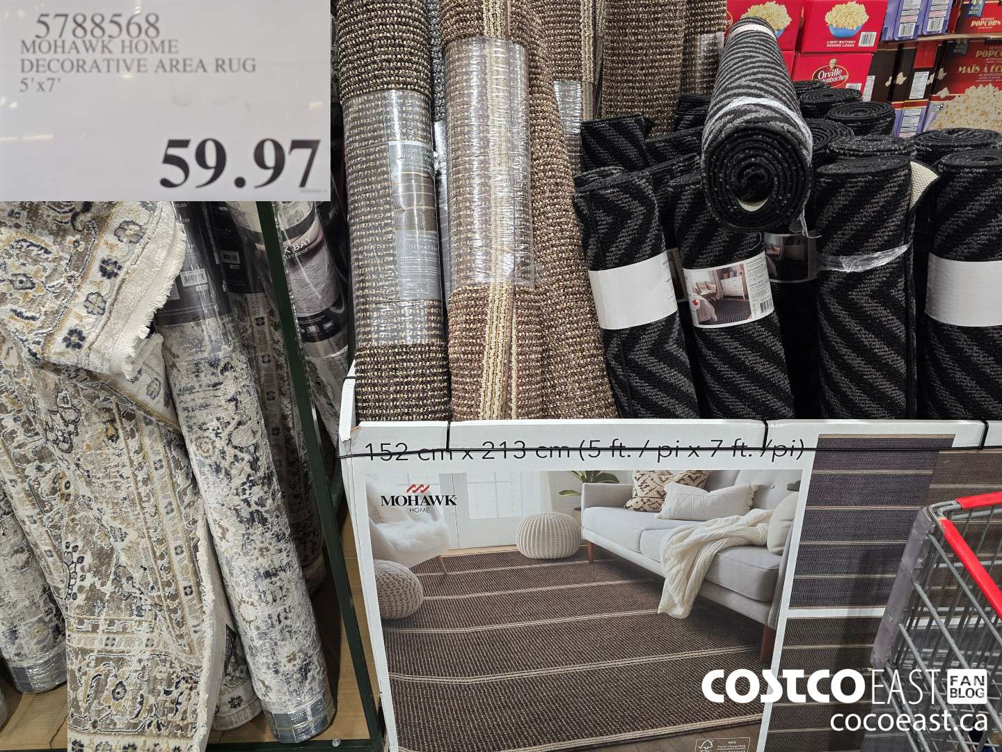 5788568 MOHAWK HOME DECORATIVE AREA RUG 5' X 7' $59.97