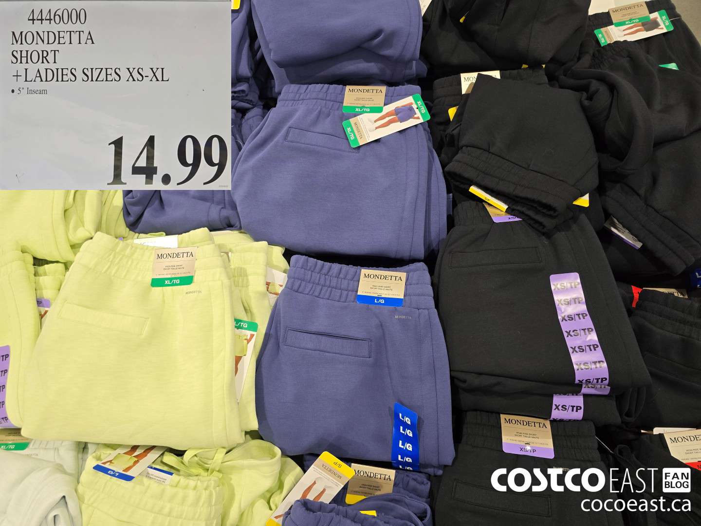 4446000 MONDETTA SHORT + LADIES SIZES XS-XL $14.99