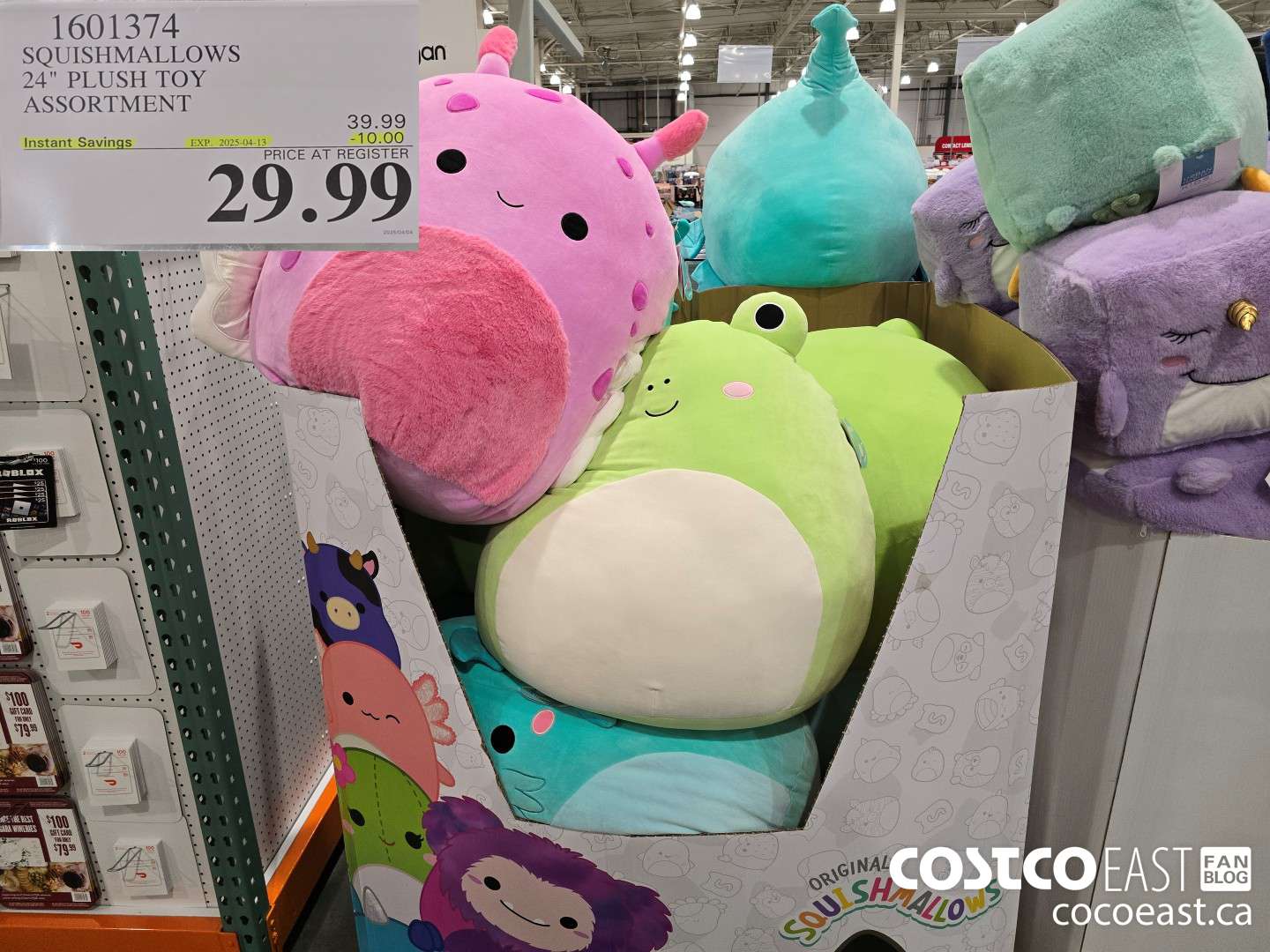 1601374 SQUISHMALLOWS 24