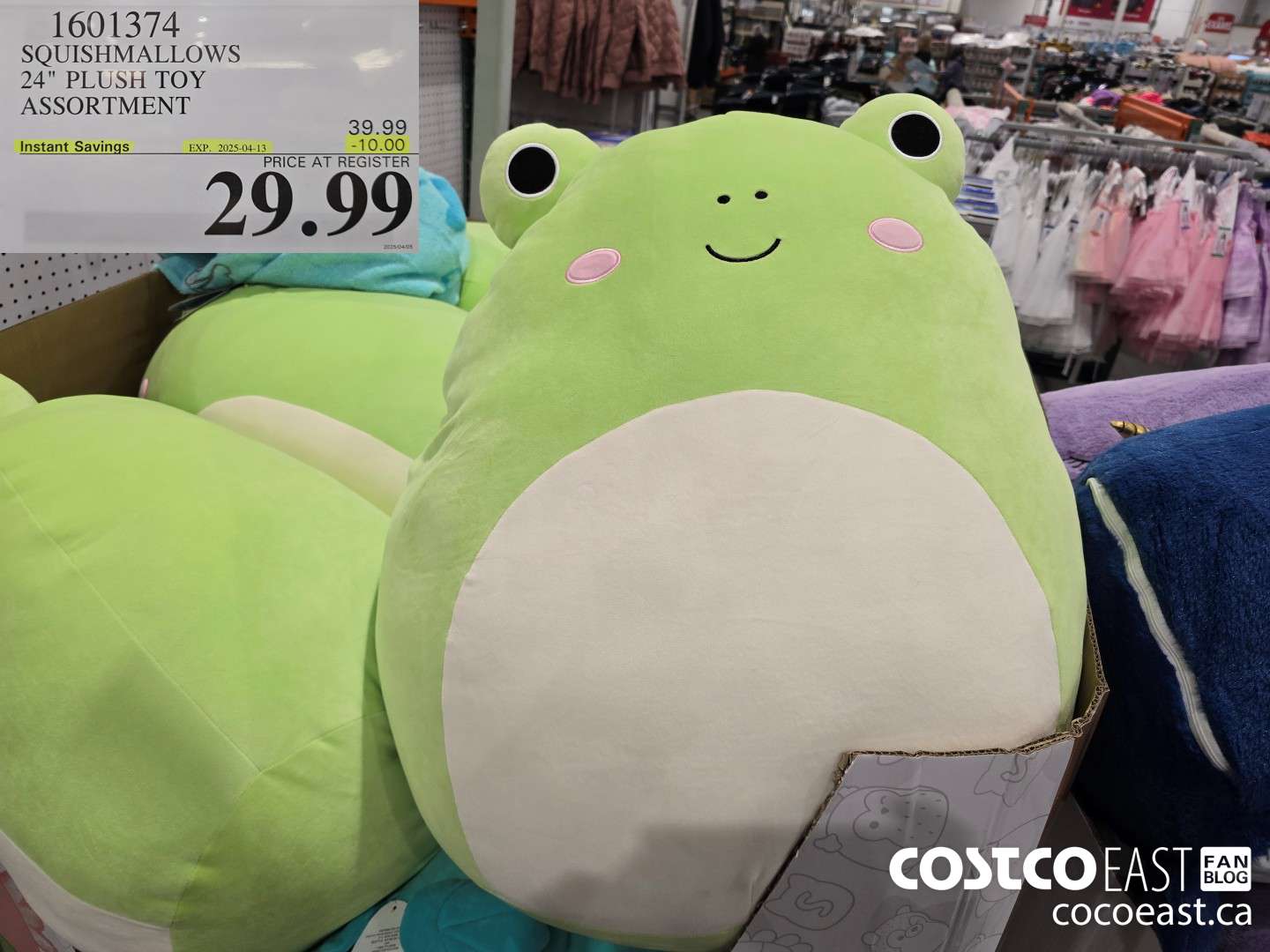 1601374 SQUISHMALLOWS 24