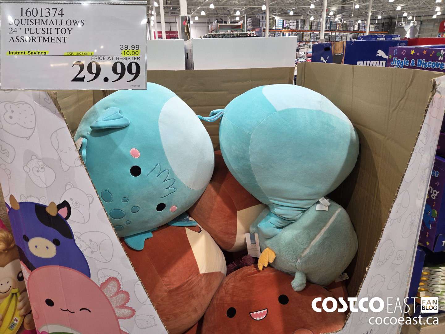 1601374 SQUISHMALLOWS 24