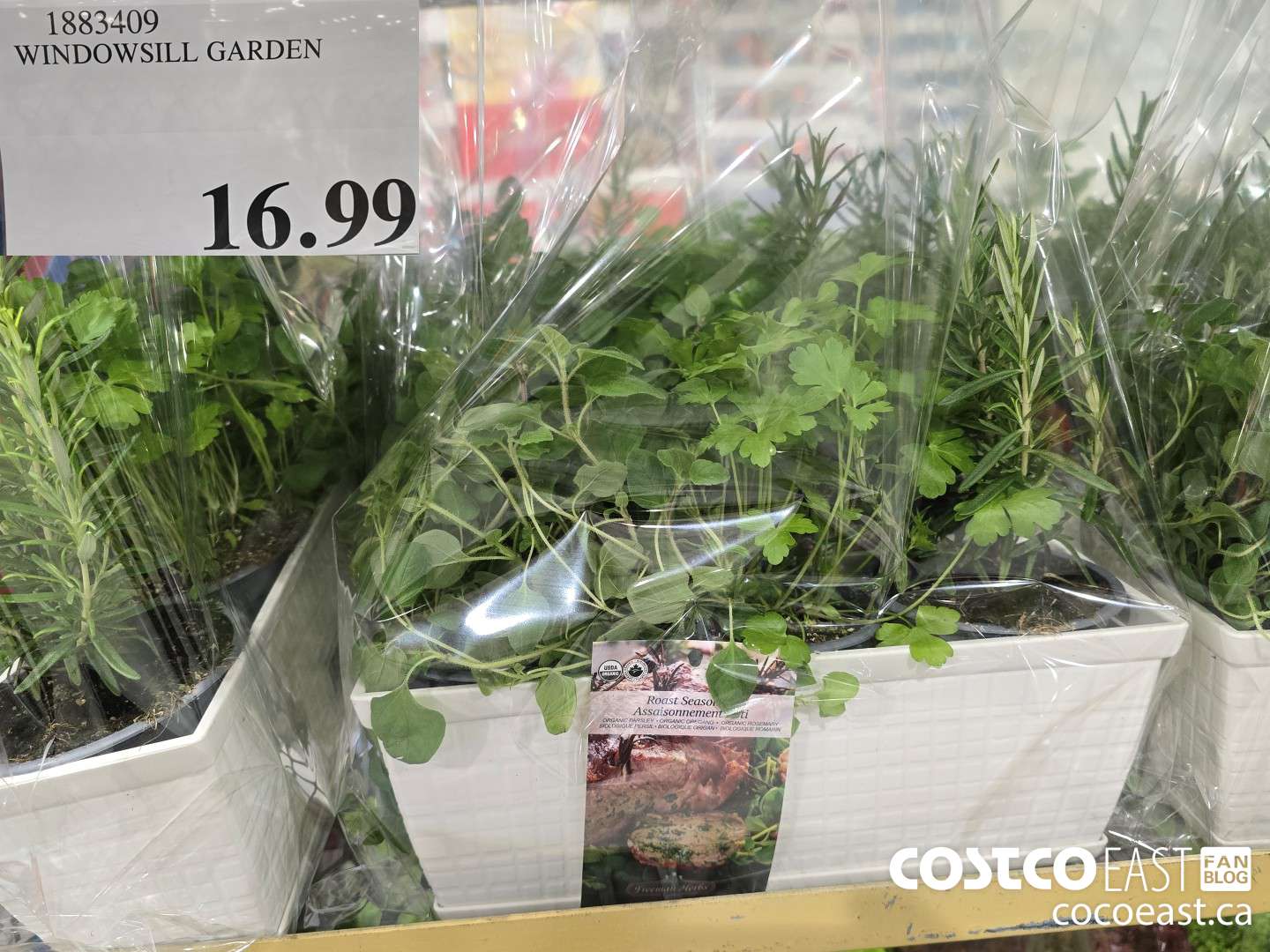 1883409 WINDOWSILL GARDEN $16.99