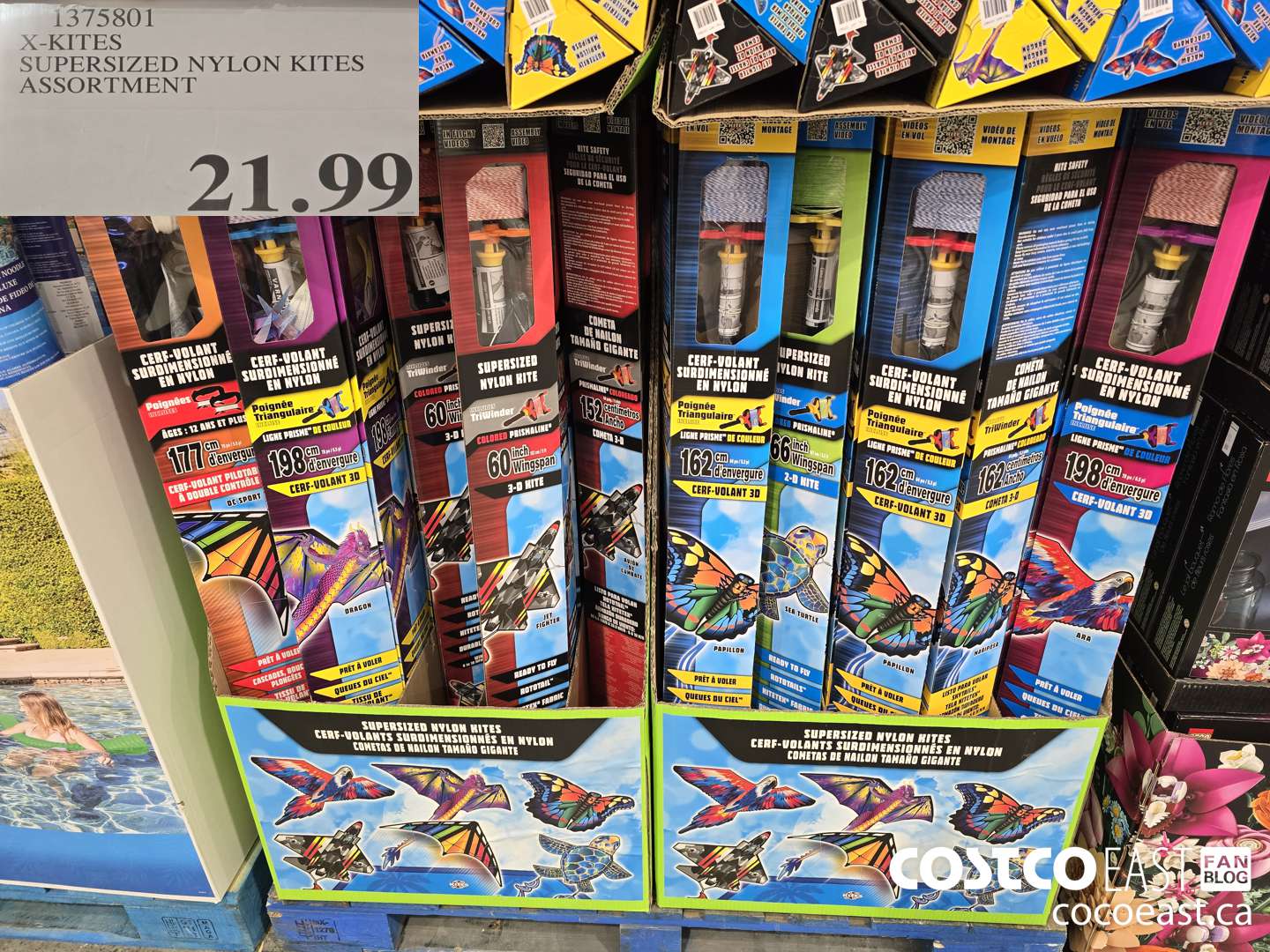 1375801 X-KITES SUPERSIZED NYLON KITES ASSORTMENT $21.99