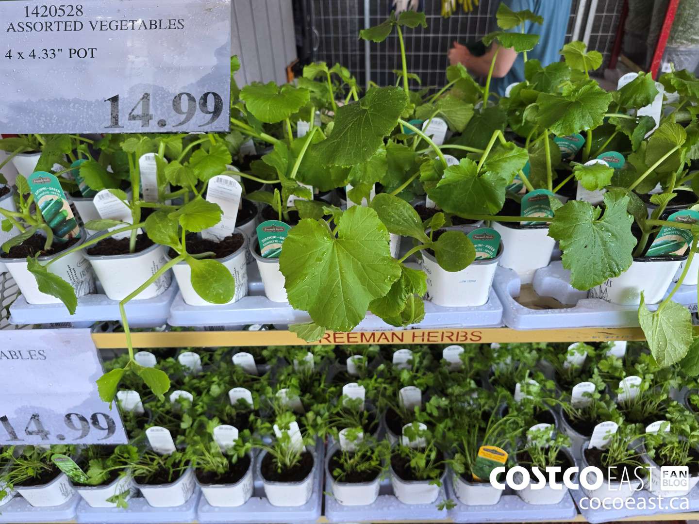 1420528 ASSORTED VEGETABLES CERTIFIED ORGANIC 4 X 4.33