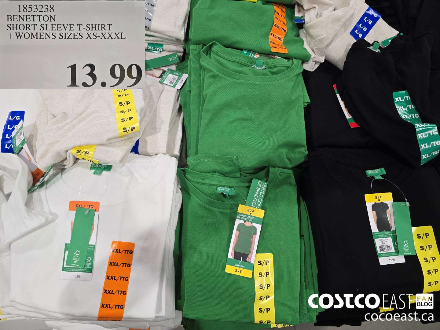 1853238 BENETTON SHORT SLEEVE T-SHIRT +LADIES SIZES XS-XXXL $13.99