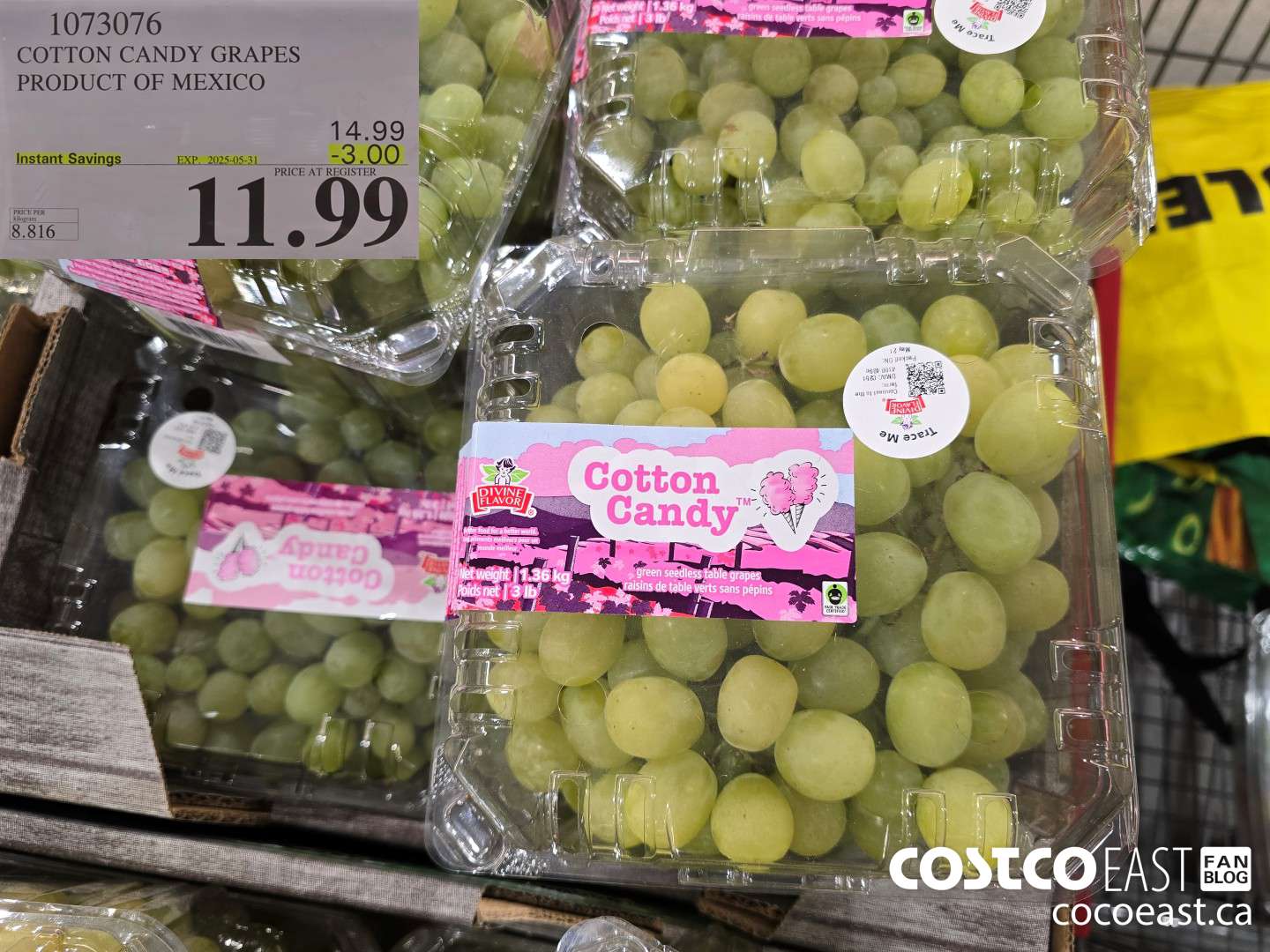 1073076 COTTON CANDY GRAPES PRODUCT OF MEXICO ($3.00 INSTANT SAVINGS EXPIRES ON 2025-05-31) $11.99