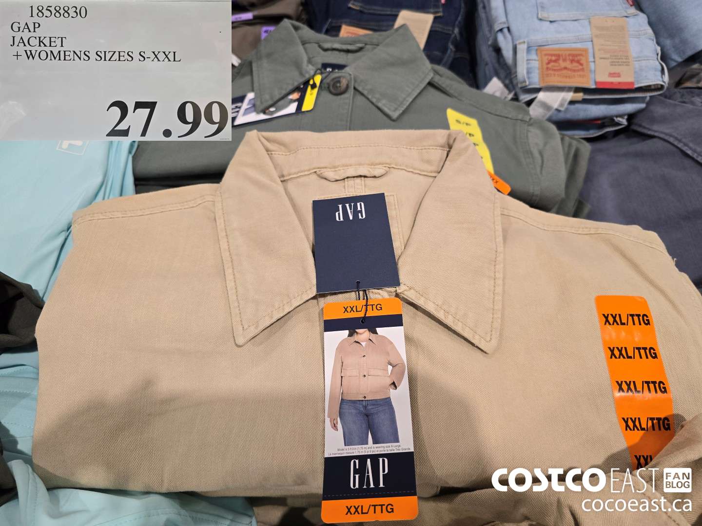 1858830 GAP JACKET + LADIES SIZES S-XXL $27.99