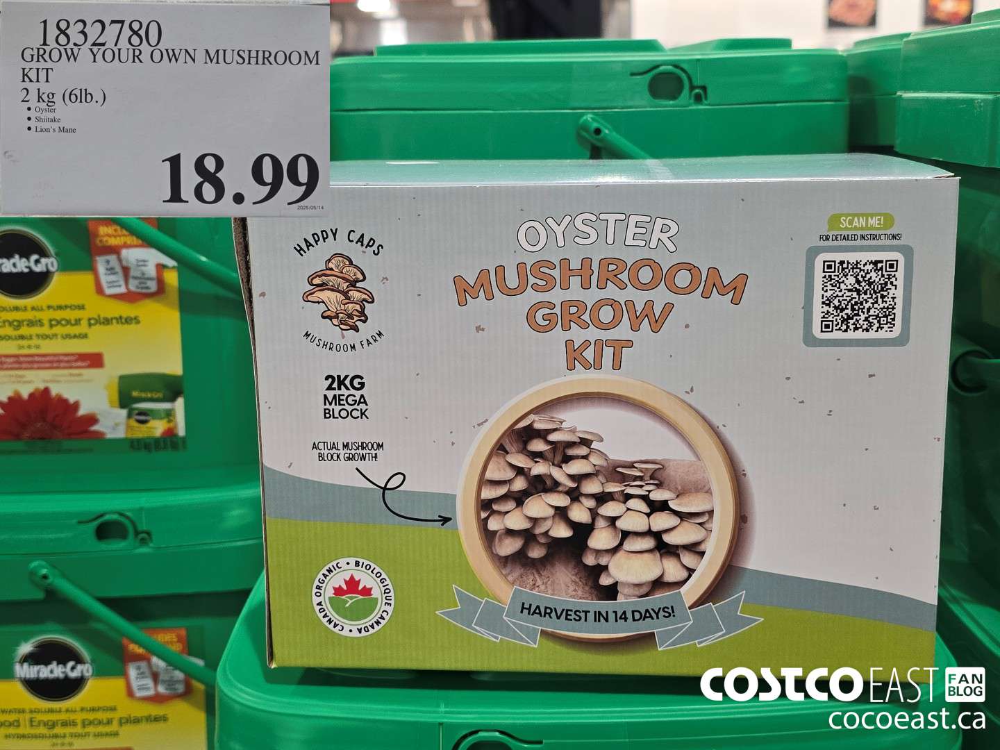 1832780 GROW YOUR OWN MUSHROOM KIT 2 kg (6lb.) $18.99