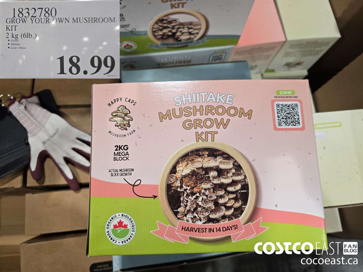 1832780 GROW YOUR OWN MUSHROOM KIT 2 kg (6lb.) $18.99