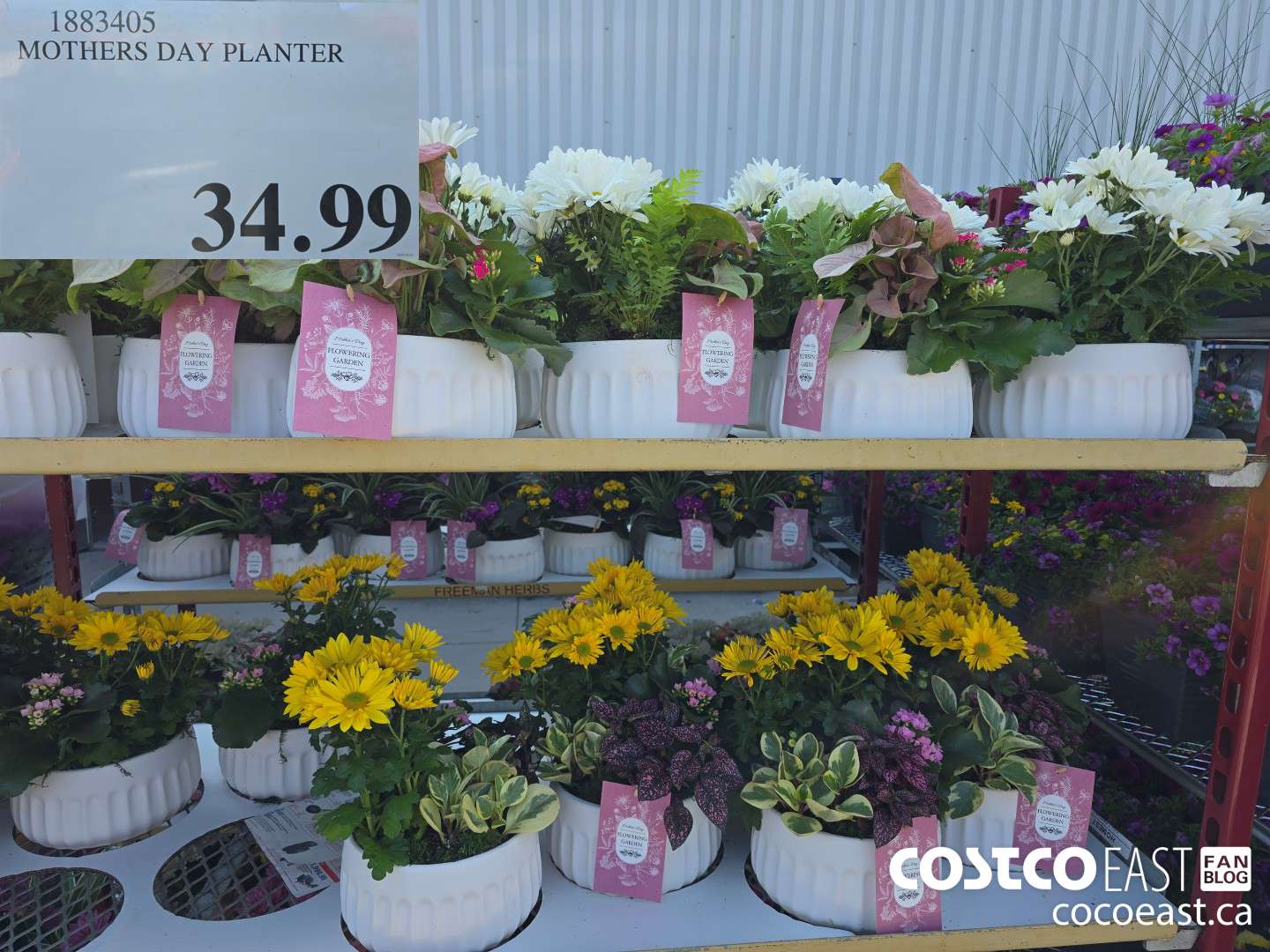 1883405 MOTHERS DAY PLANTER $34.99
