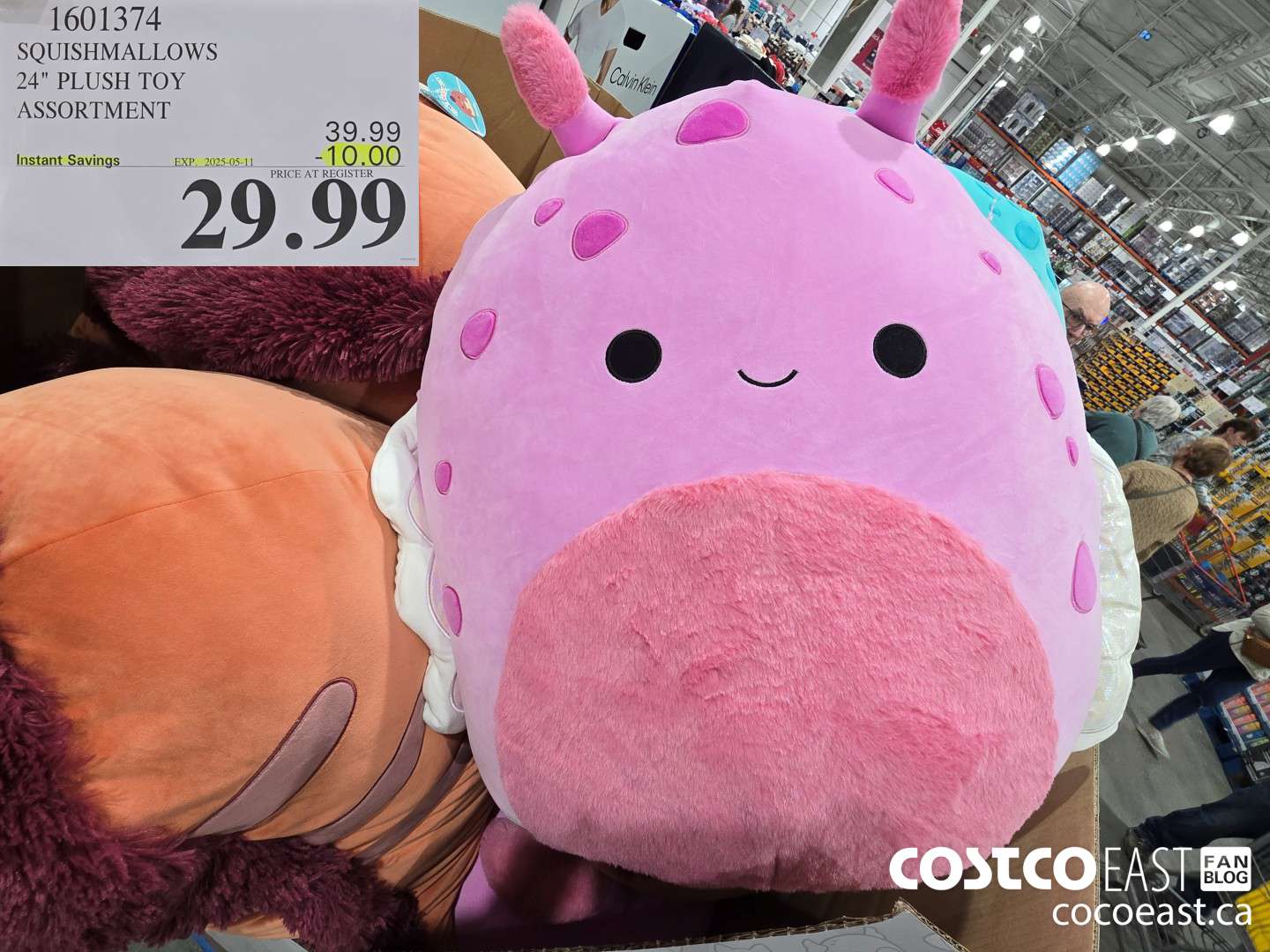 1601374 SQUISHMALLOWS 24