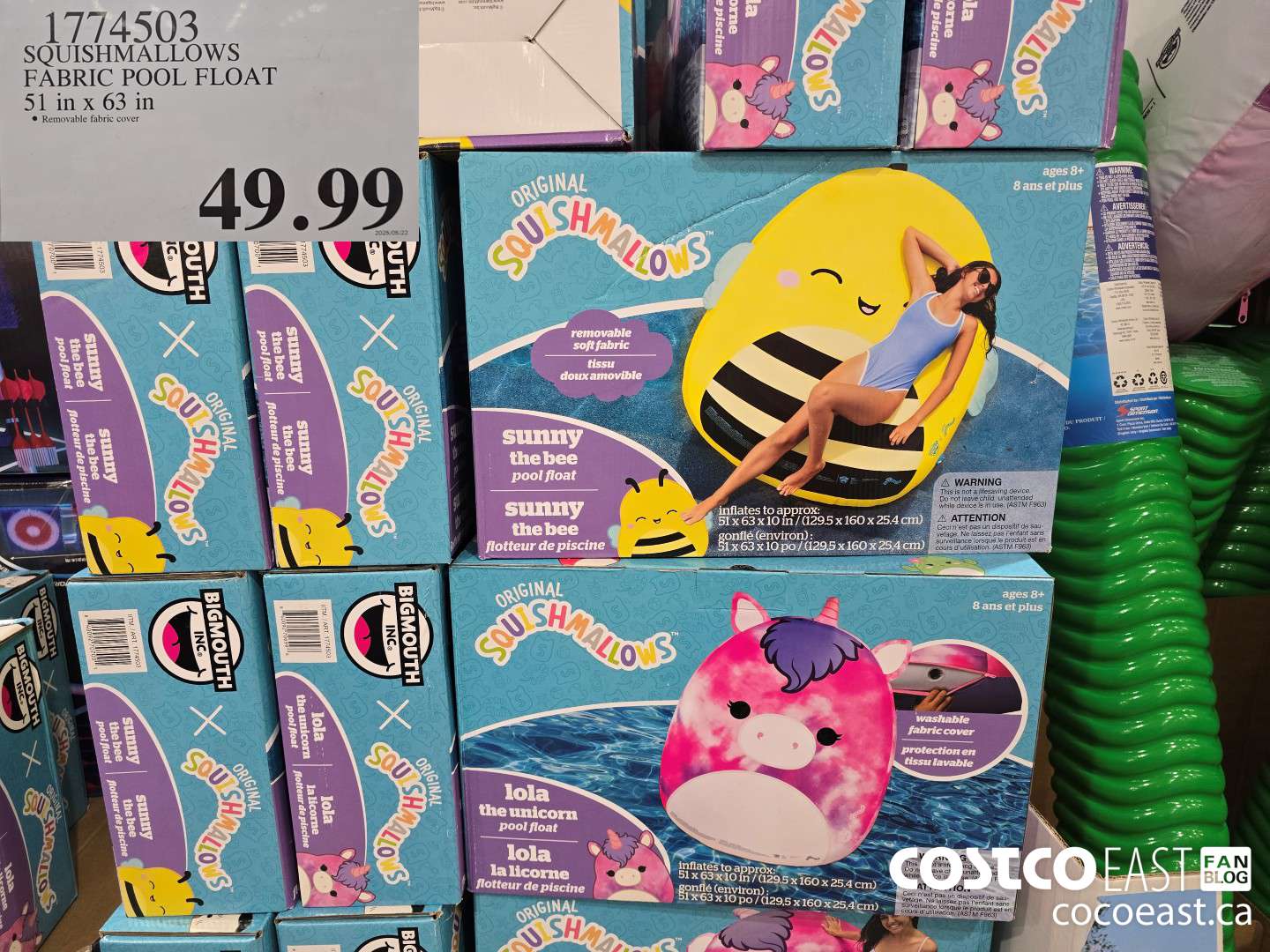 1774503 SQUISHMALLOWS FABRIC POOL FLOAT 51 IN X 63 IN $49.99