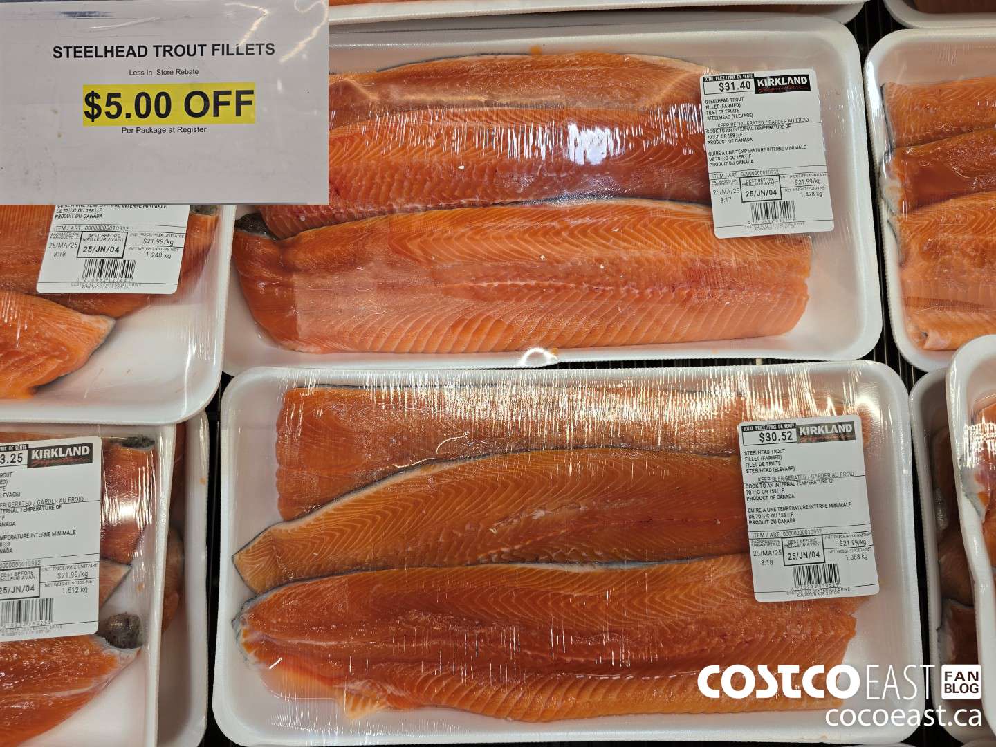 10932 STEELHEAD TROUT FILLETS ($5.00 INSTANT SAVINGS)