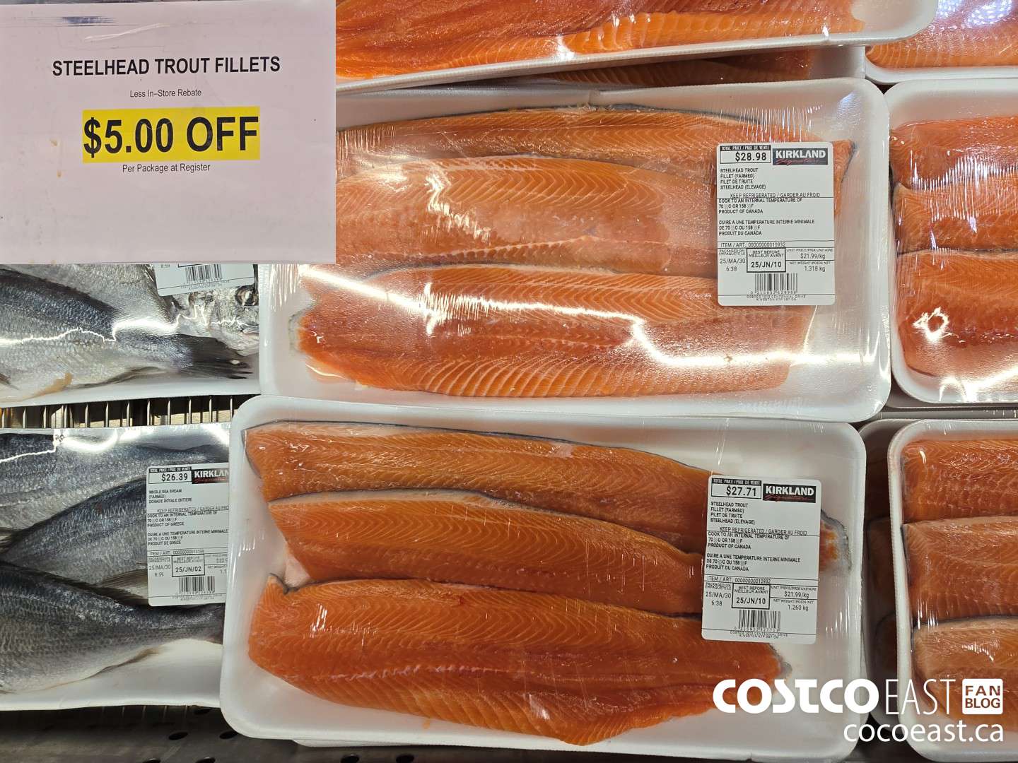 10932 STEELHEAD TROUT FILLETS ($5.00 INSTANT SAVINGS)