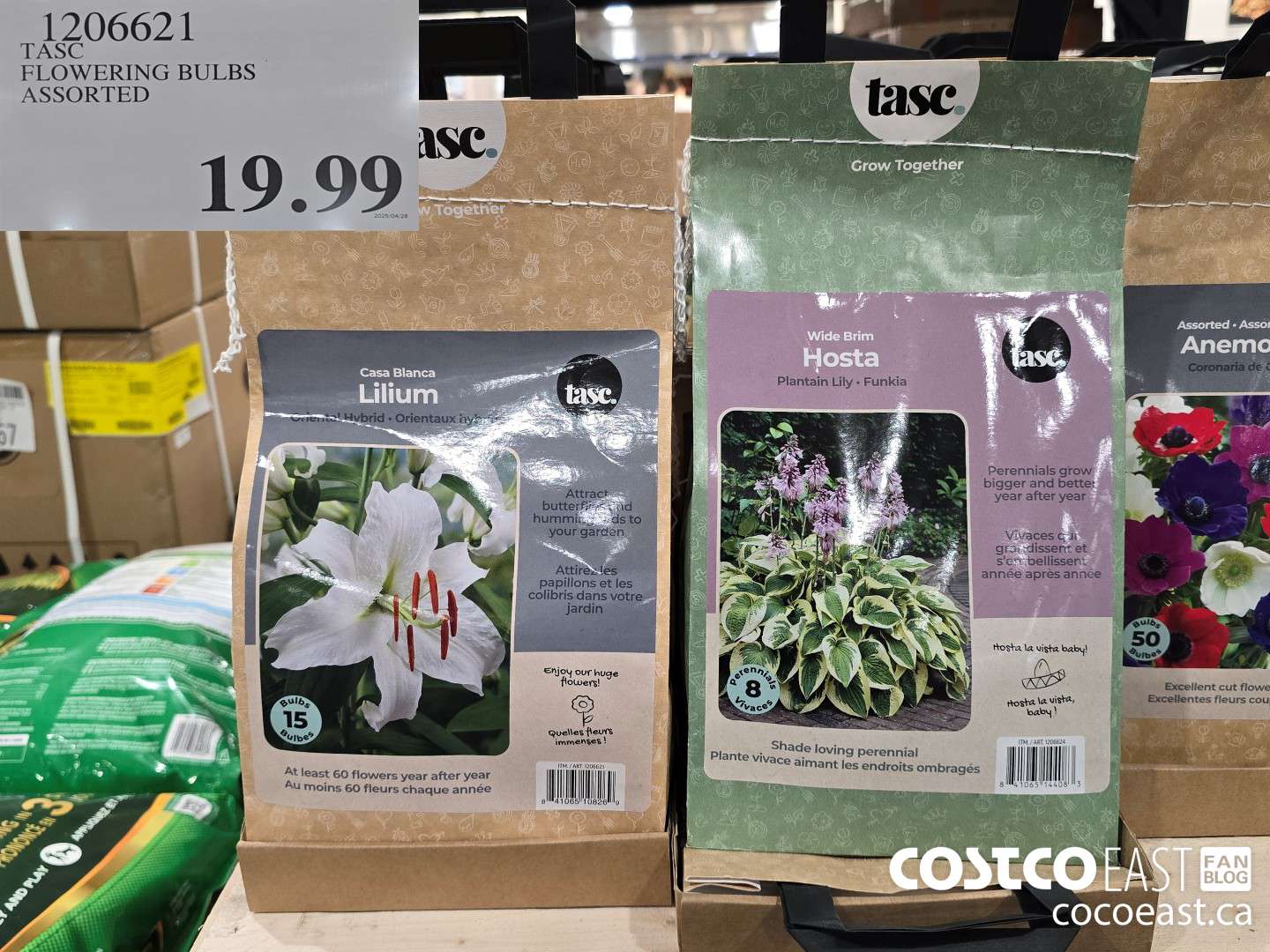 1206621 TASC FLOWERING BULBS ASSORTED $19.99