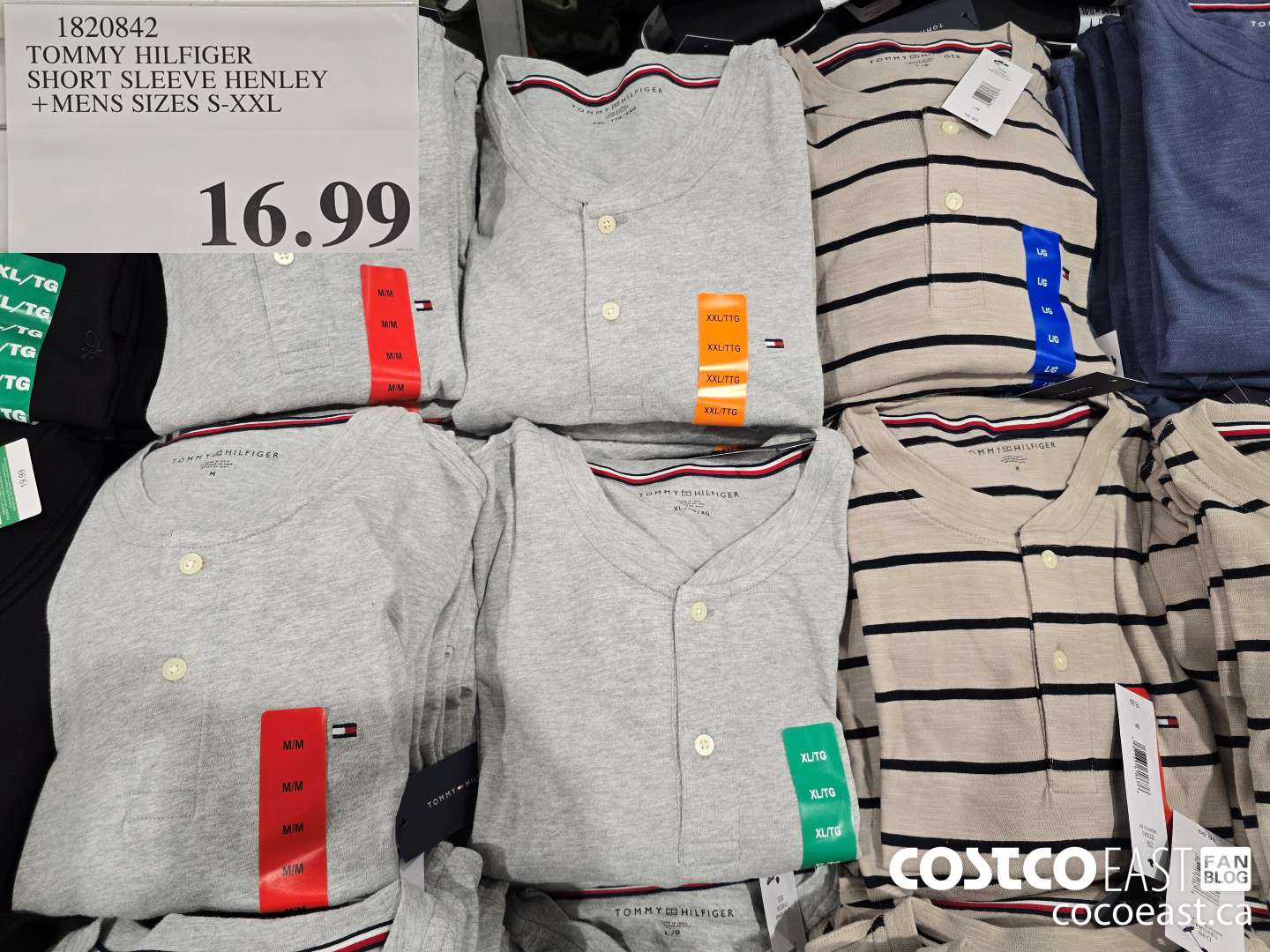 1820842 TOMMY HILFIGER SHORT SLEEVE HENLEY +MENS SIZES S-XXL $16.99