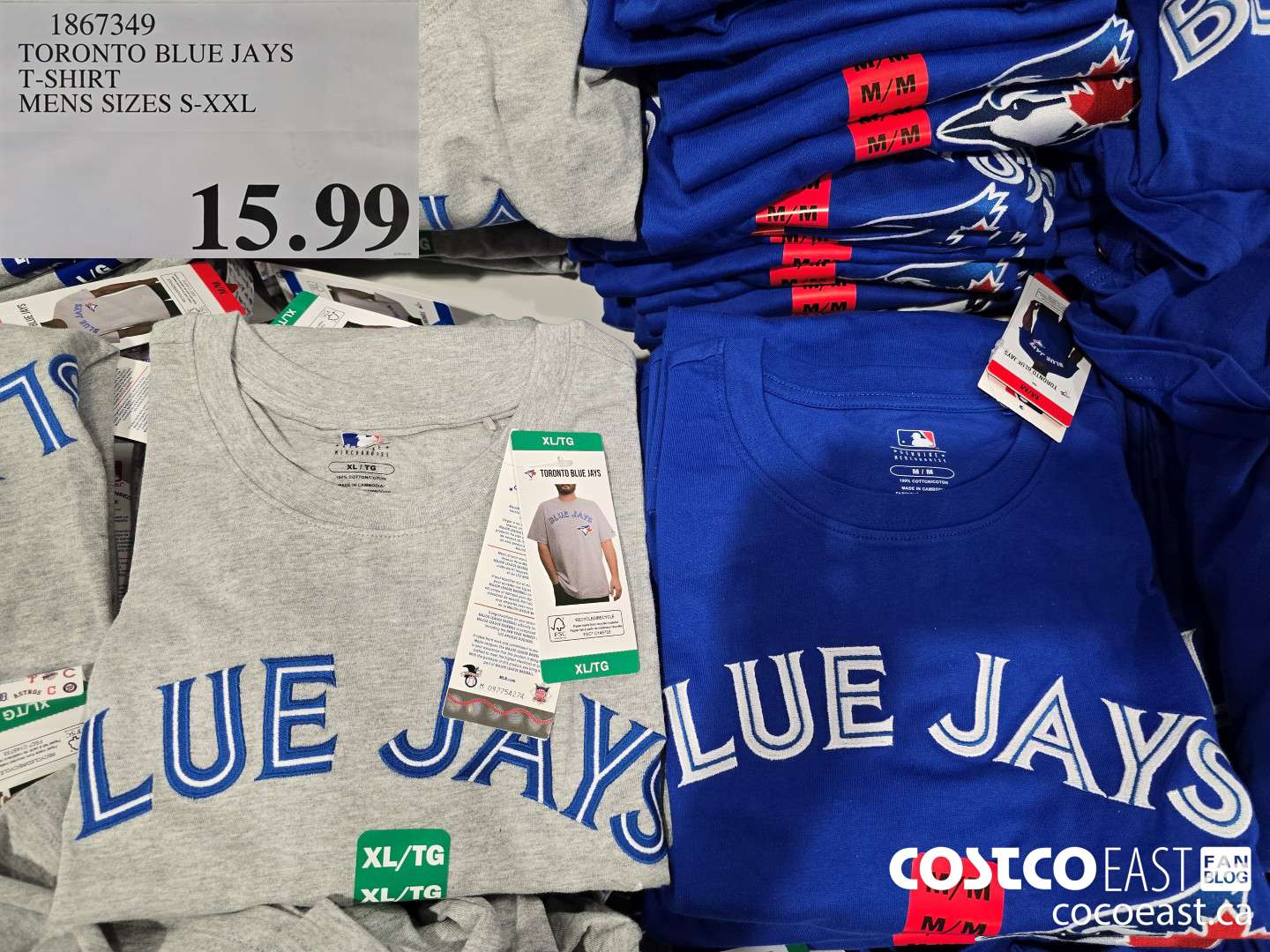 1867349 TORONTO BLUE JAYS T-SHIRT MENS SIZES S-XXL $15.99