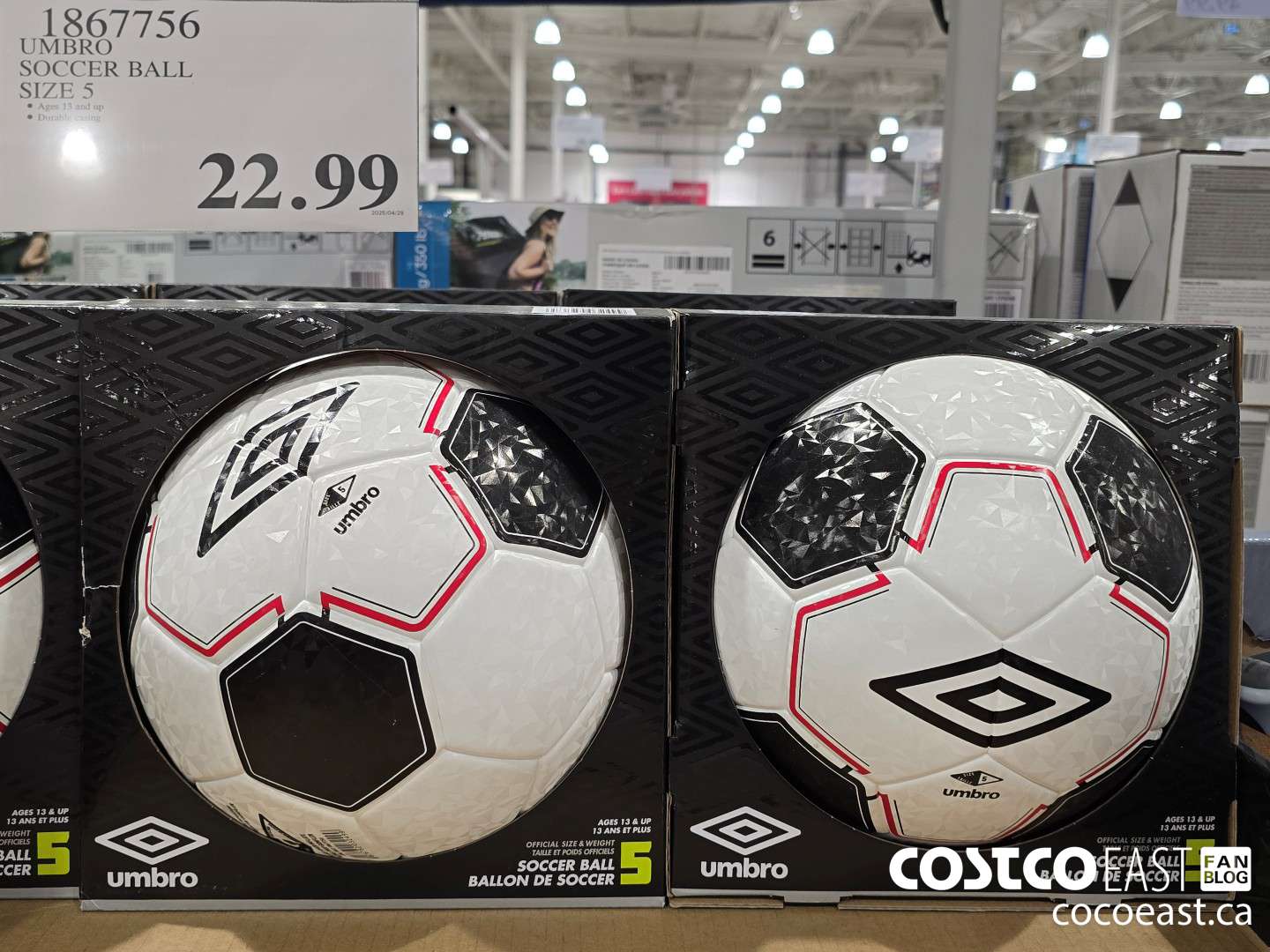 1867756 UMBRO - SOCCER BALL SIZE 5 $22.99