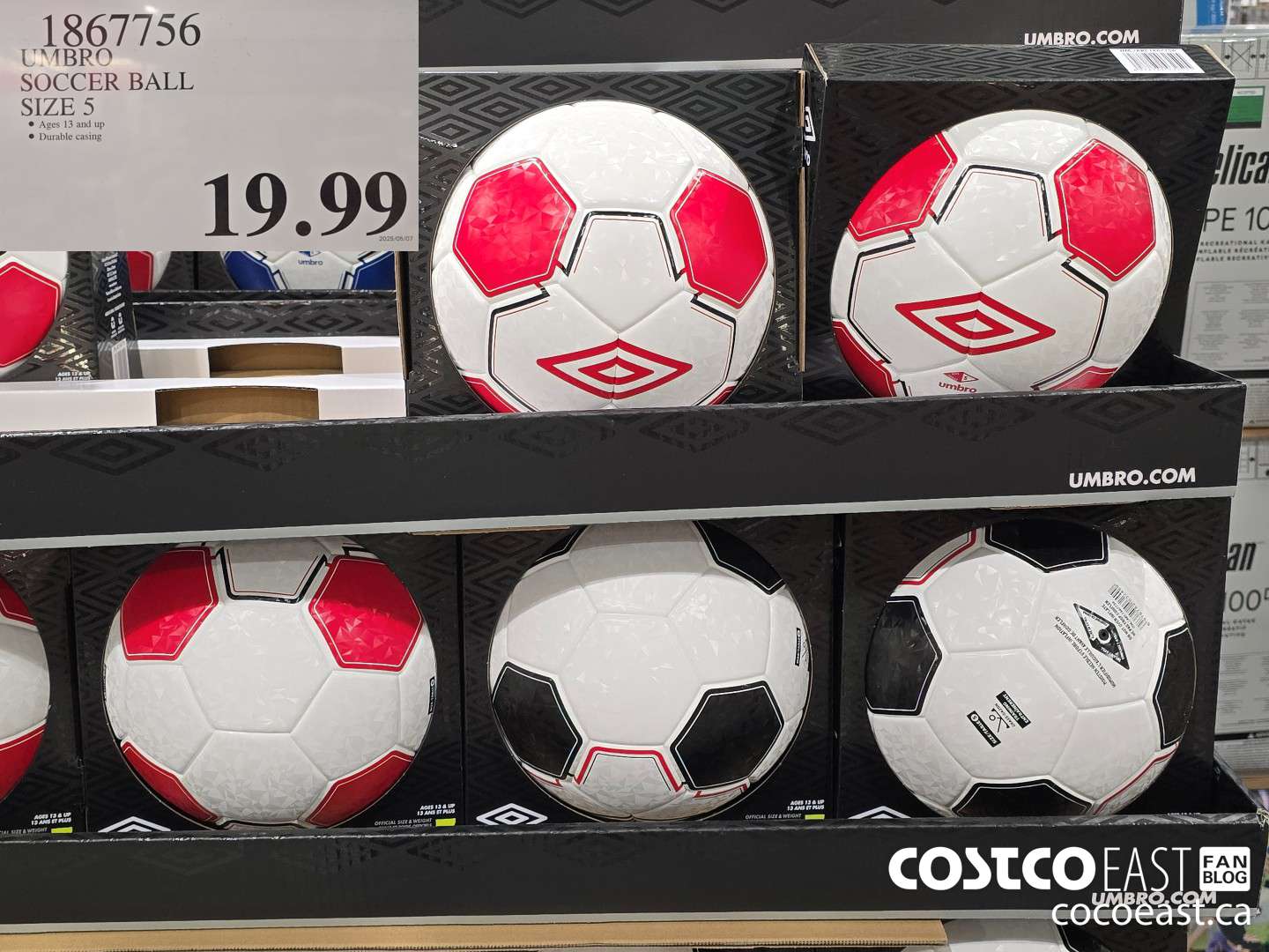 1867756 UMBRO - SOCCER BALL SIZE 5 $19.99