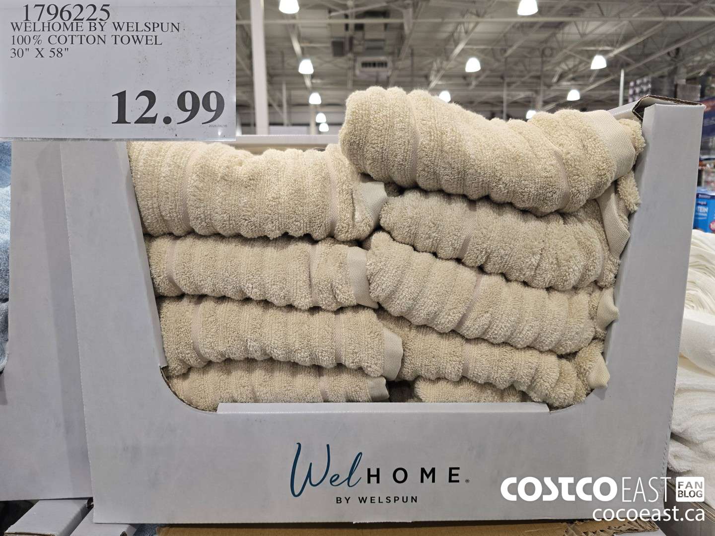 1796225 WELHOME BY WELSPUN 100% COTTON TOWEL 30