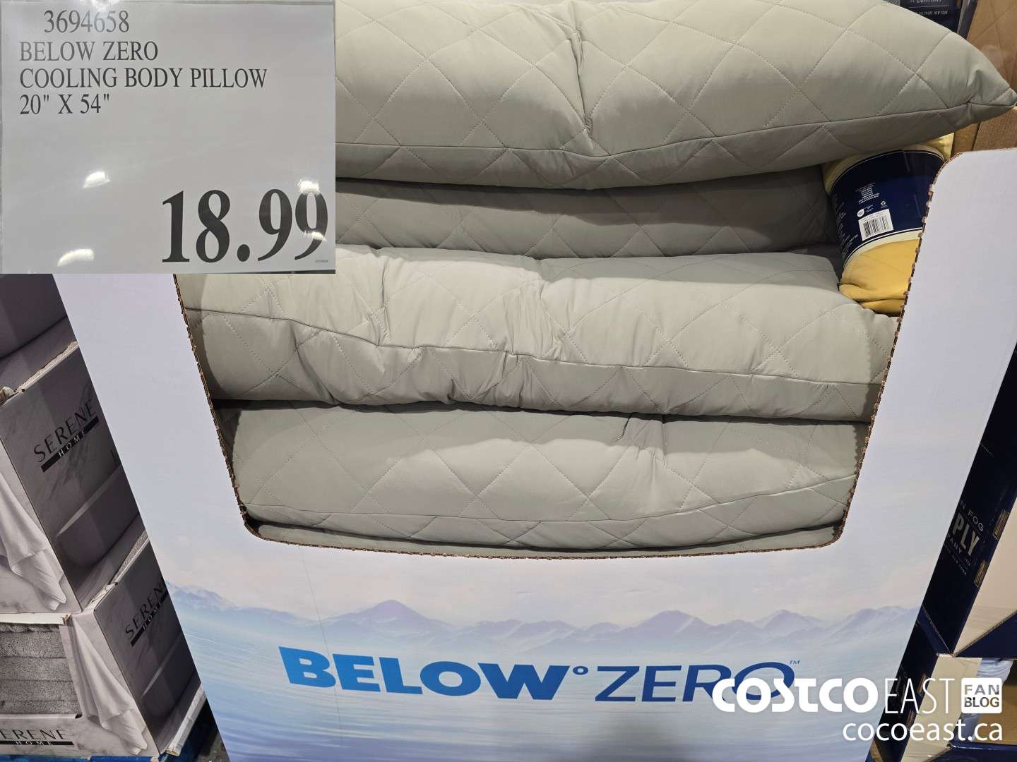 369658 BELOW ZERO COOLING BODY PILLOW 20