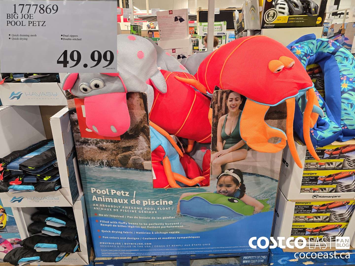 1777869 BIG JOE POOLE PETZ $49.99