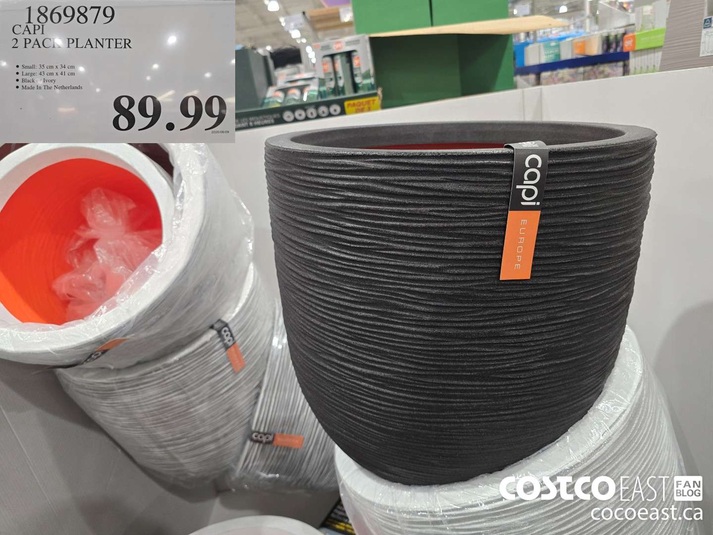 1869879 CAPI 2 PACK PLANTER $89.99