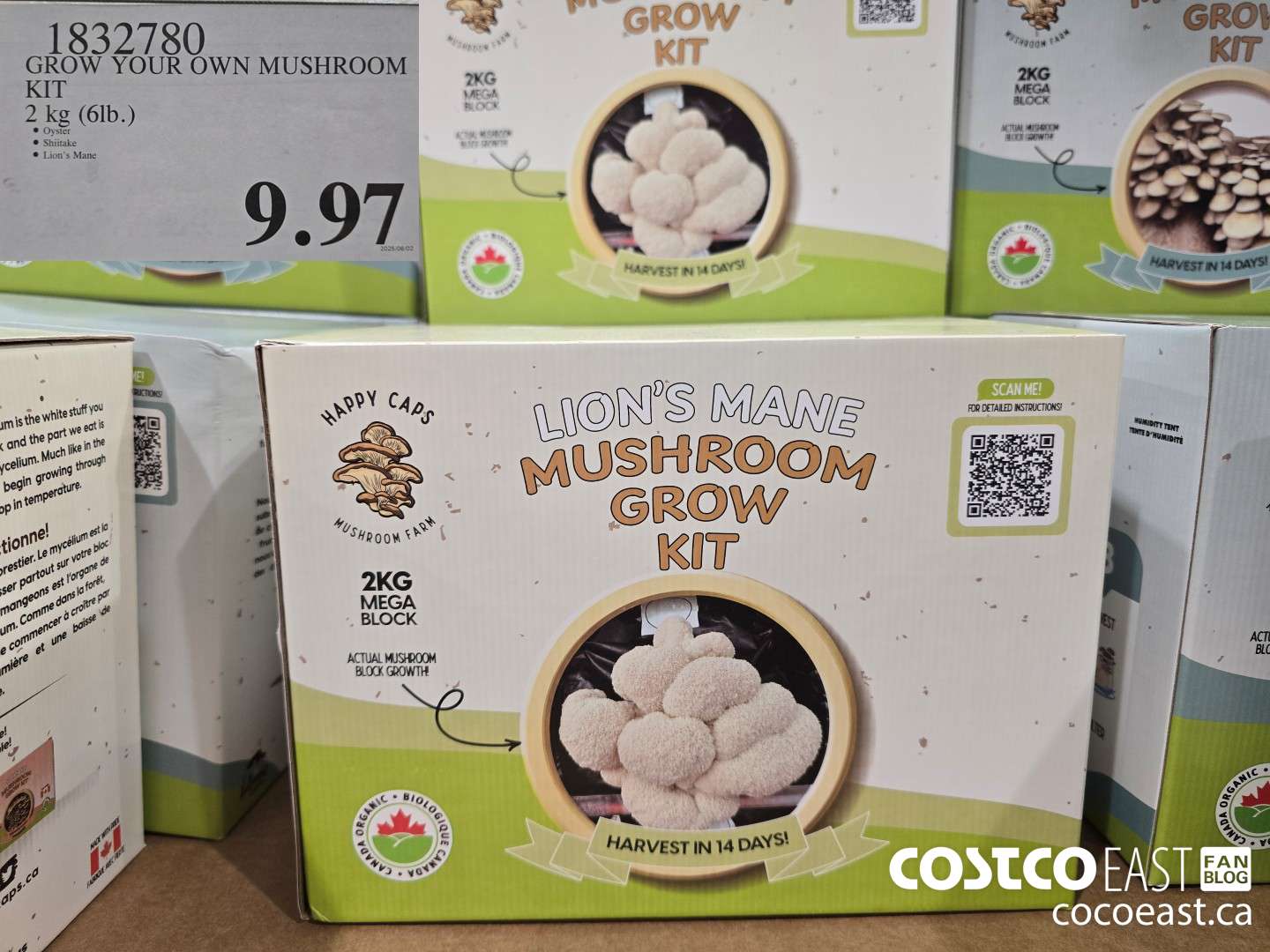 1832780 GROW YOUR OWN MUSHROOM KIT 2 kg (6lb.) $9.97