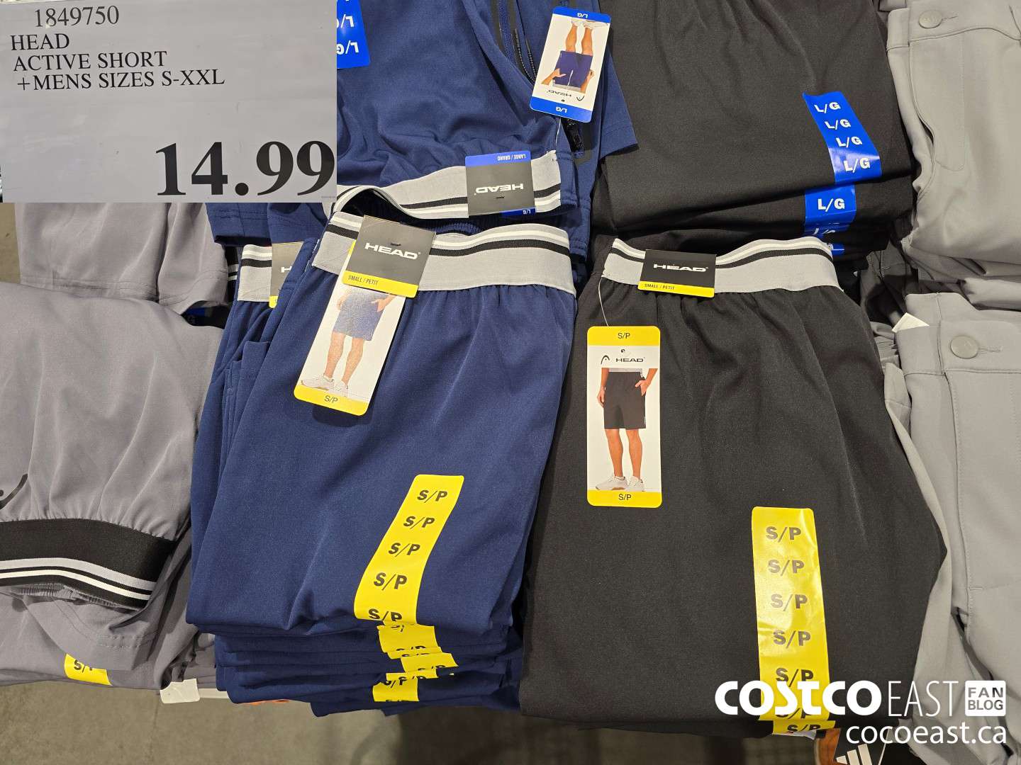 1849750 HEAD ACTIVE SHORT +MENS SIZES S-XXL $14.99