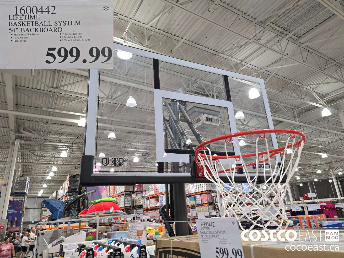 1600442 LIFETIME PRODUCTS BASKETBALL SYSTEM 54