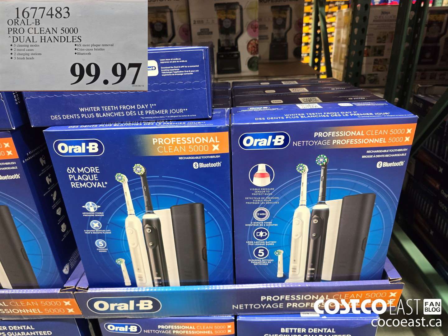 1677483 ORAL-B PRO CLEAN 5000 DUAL HANDLES $99.97