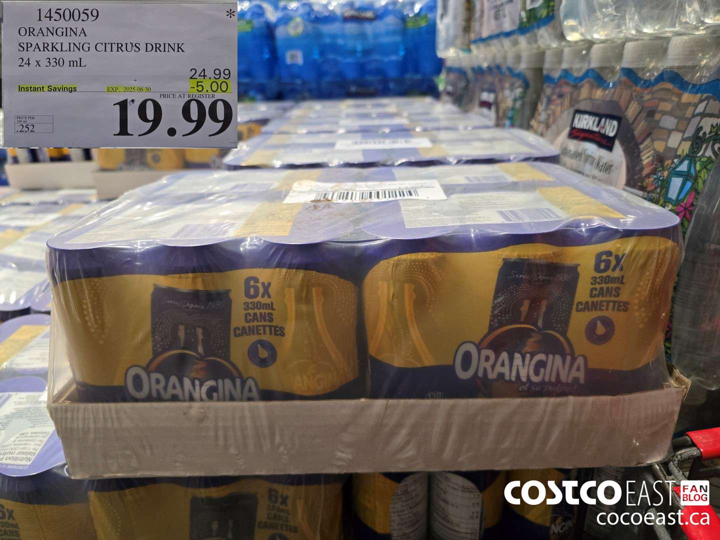 1450059 ORANGINA SPARKLING CITRUS DRINK 24 x 330 mL ($5.00 INSTANT SAVINGS EXPIRES ON 2025-06-30) $19.99