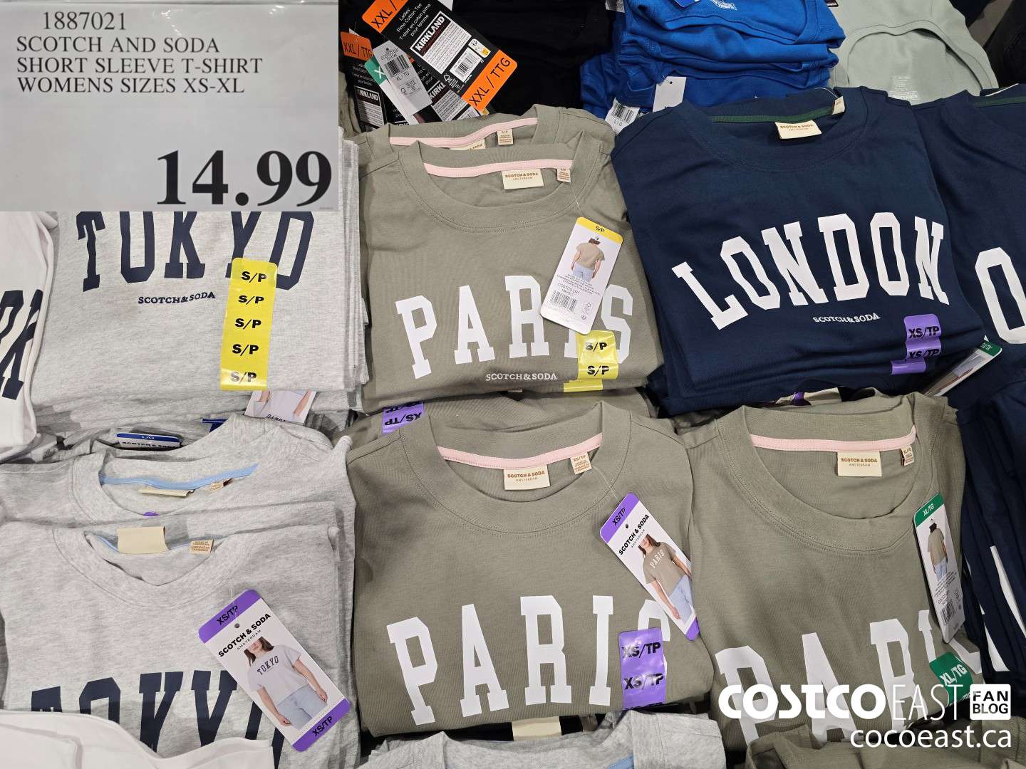 1887021 SCOTCH AND SODA SHORT SLEEVE T-SHIRT WOMENS SIZES XS-XL $14.99