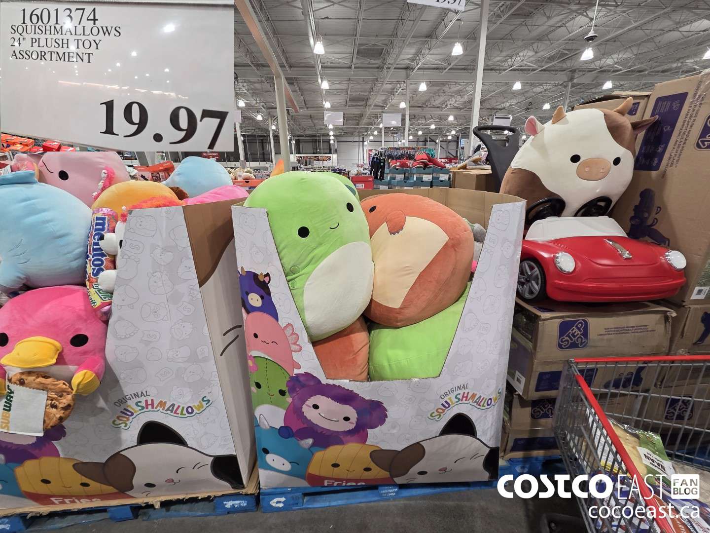 1601374 SQUISHMALLOWS 24