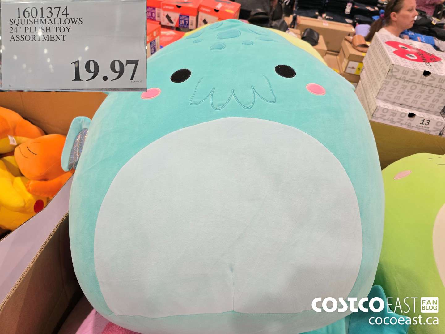 1601374 SQUISHMALLOWS 24