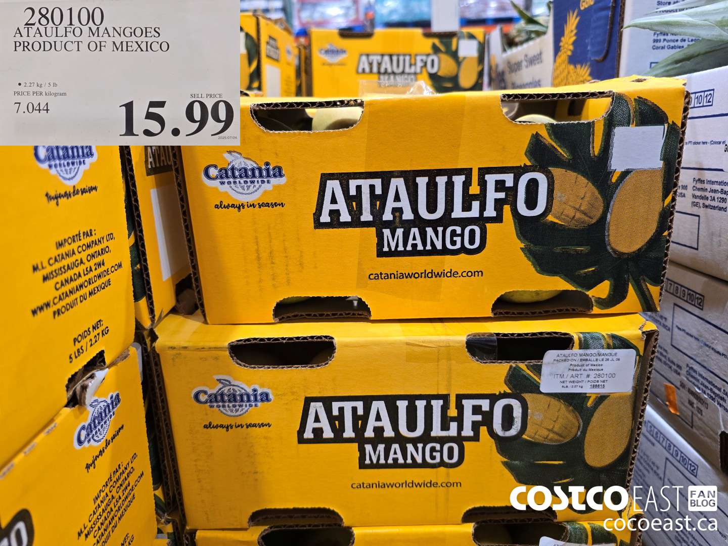 280100 ATAULFO MANGOES PRODUCT OF MEXICO $15.99