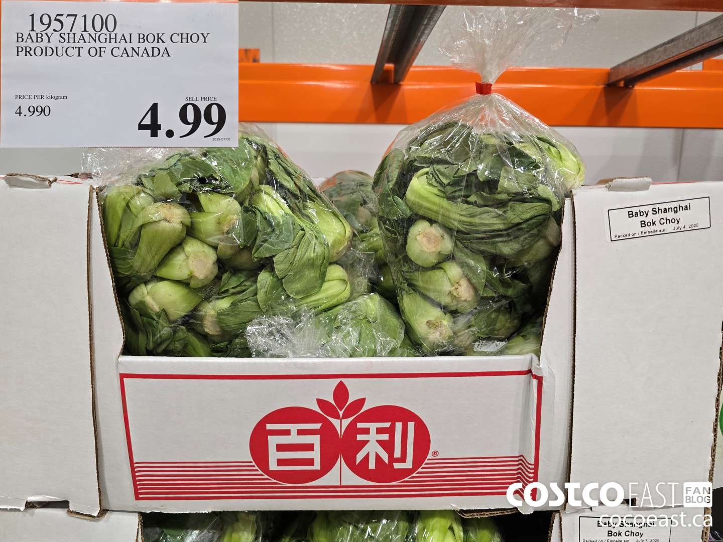 1957100 BABY SHANGHAI BOK CHOY PRODUCT OF CANADA $4.99
