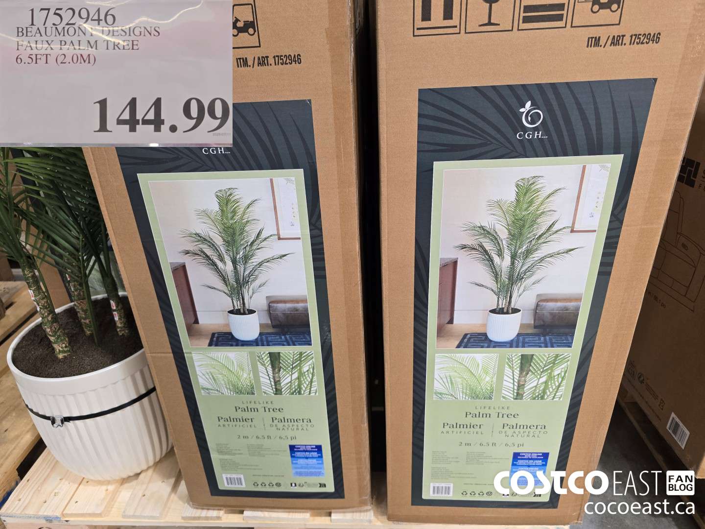 1752946 BEAUMONT DESIGNS FAUX PALM TREE 6.5FT (2.0M) $144.99