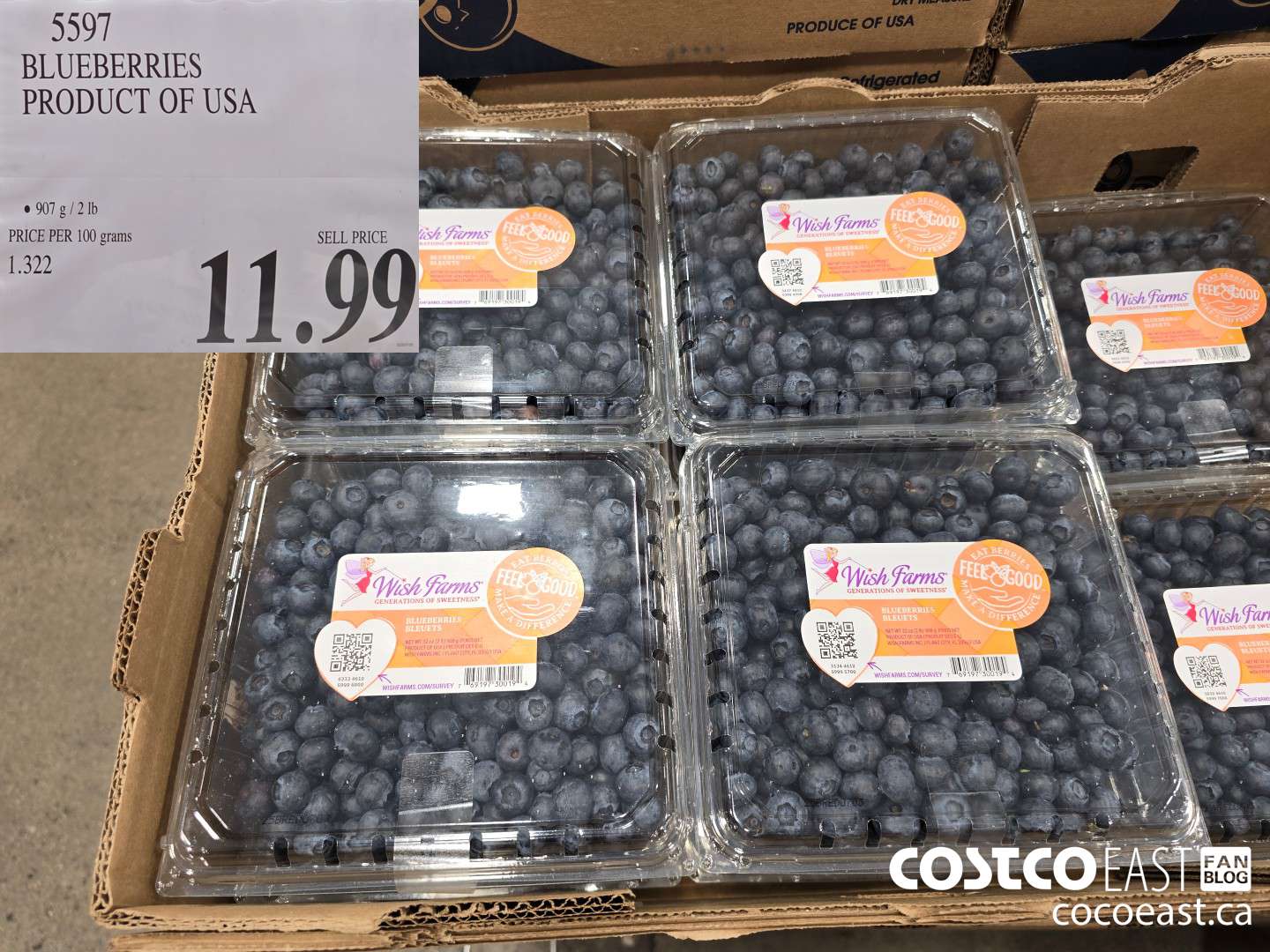 5597 BLUEBERRIES PRODUCT OF USA $11.99