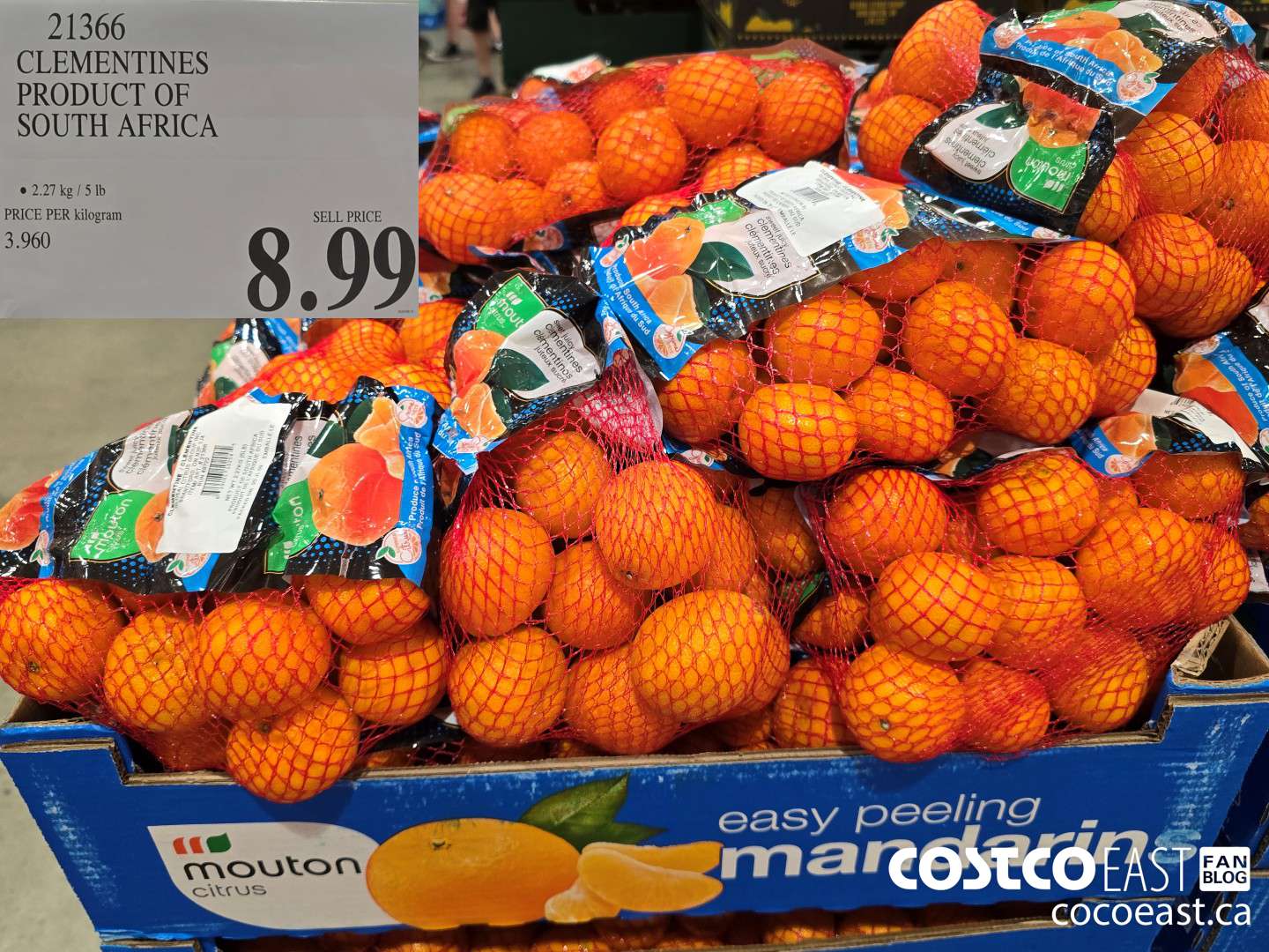 21366 CLEMENTINES PRODUCT OF SOUTH AFRICA $8.99