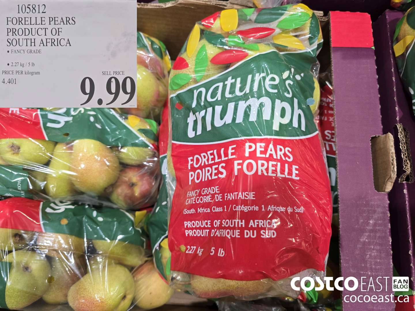 105812 FORELLE PEARS PRODUCT OF SOUTH AFRICA $9.99